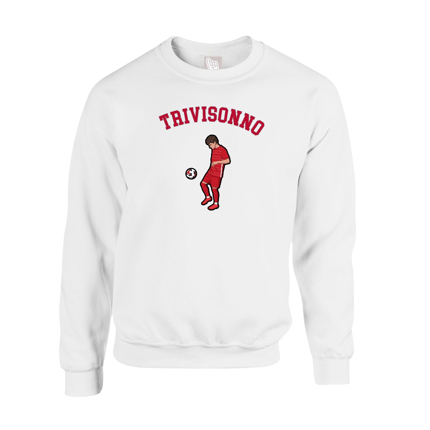 Fleece Crew — Shirsey Arch in White