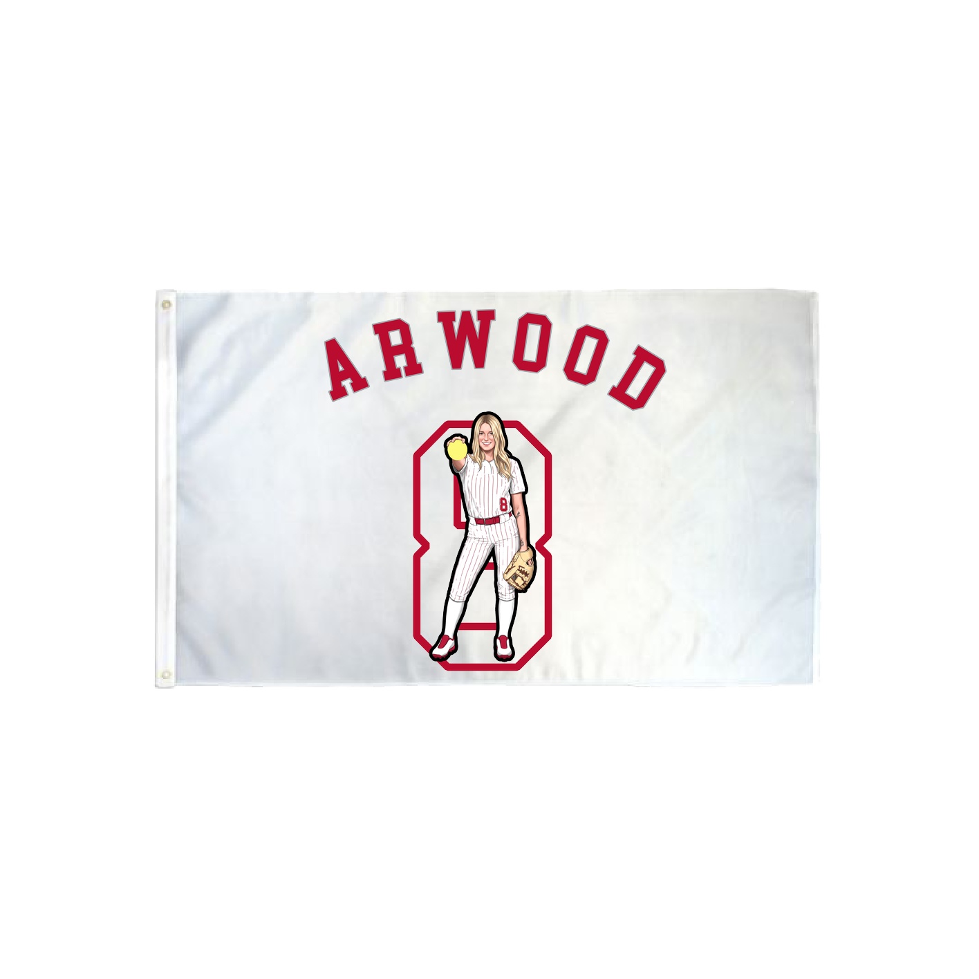 3x5 Flag — Shirsey Arch in Classic