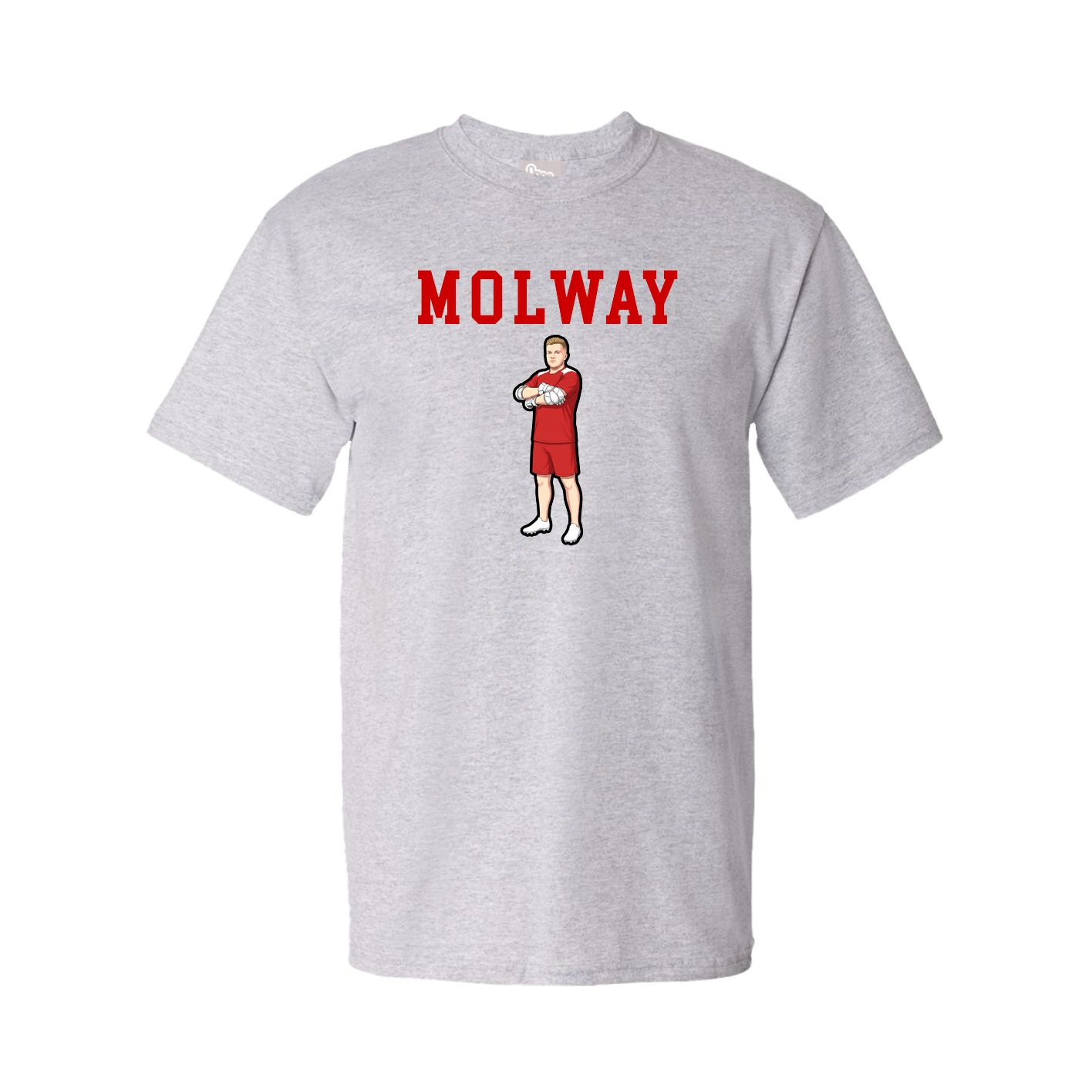 Tee — Shirsey in Grey
