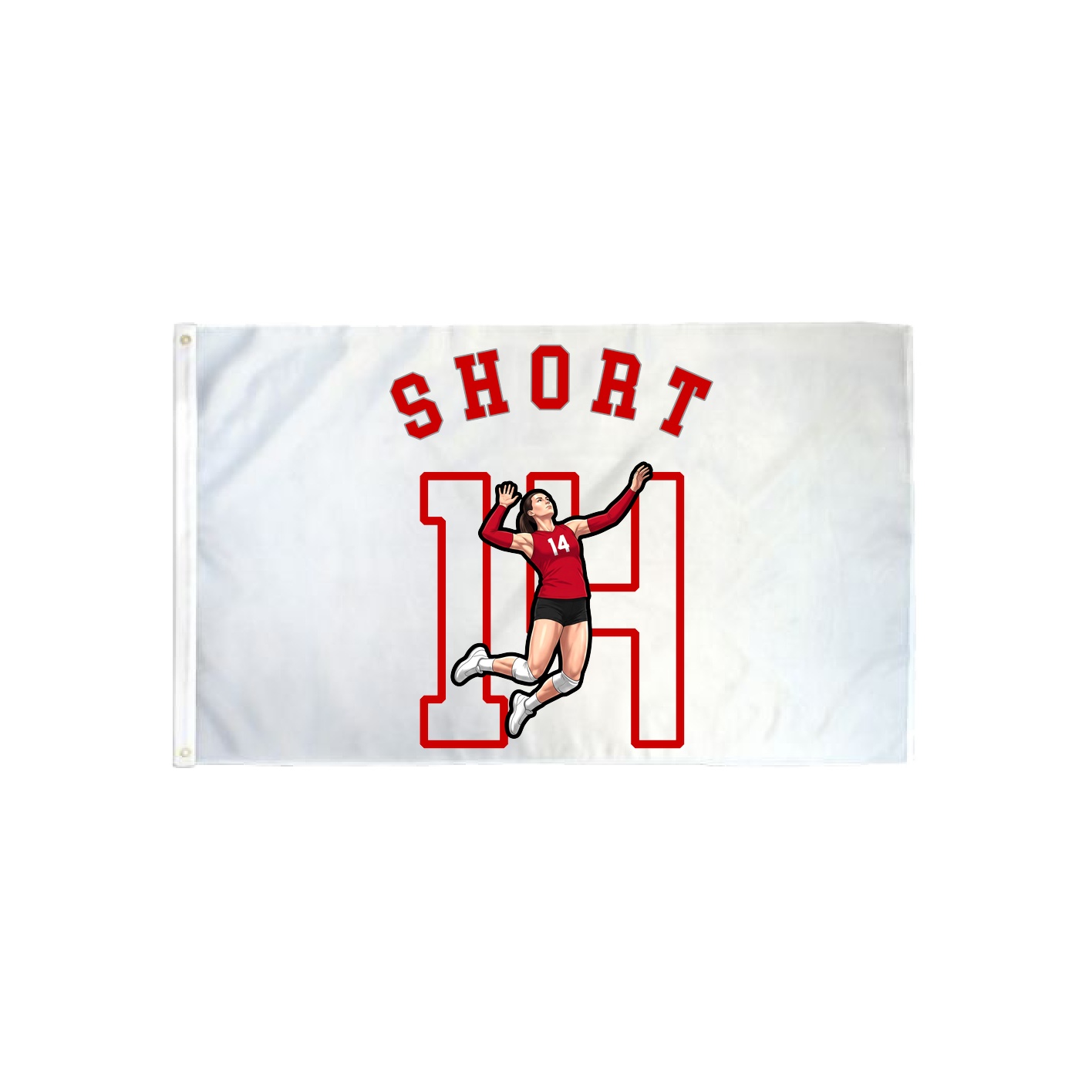 3x5 Flag — Shirsey Arch in Classic