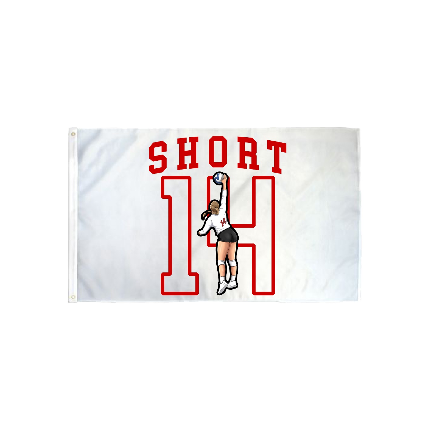 3x5 Flag — Shirsey in Classic
