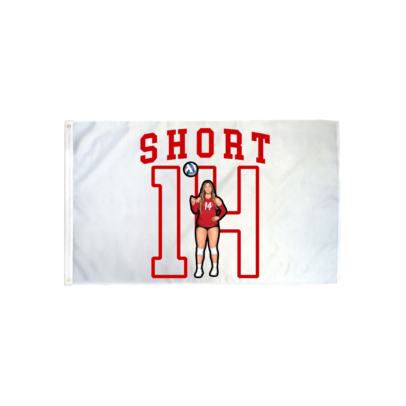 3x5 Flag — Shirsey in Classic