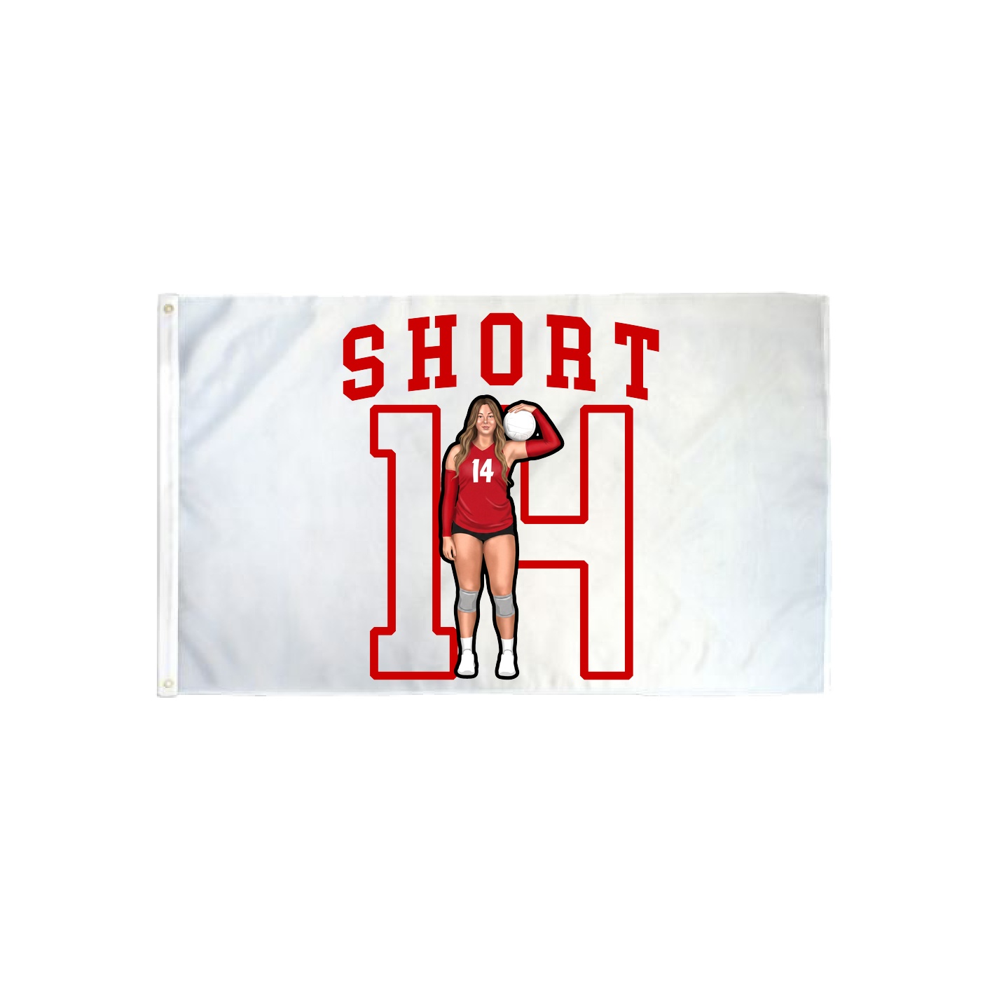 3x5 Flag — Shirsey in Classic