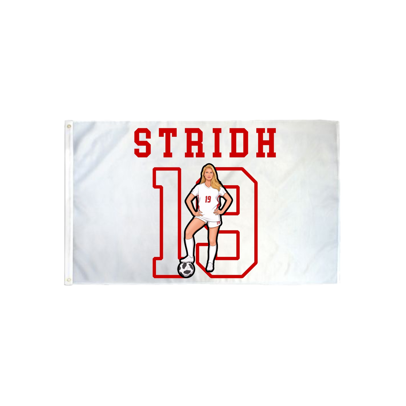 3x5 Flag — Shirsey in Classic