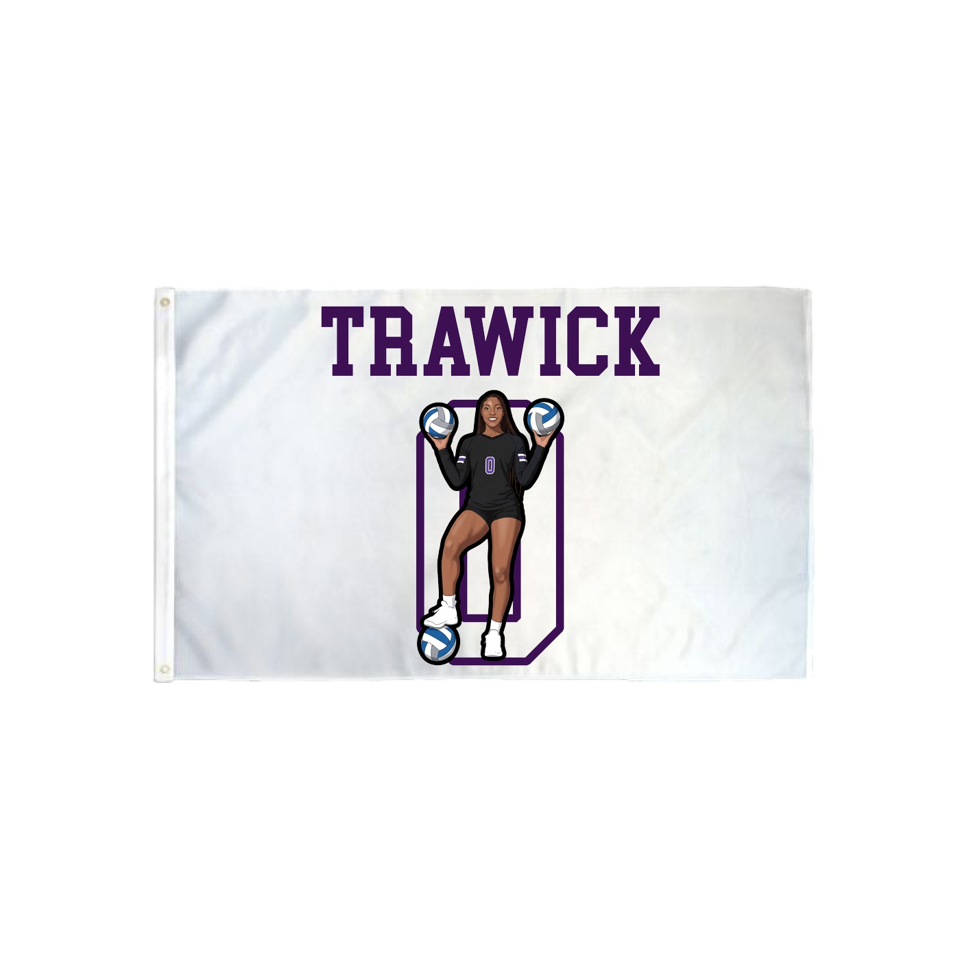 3x5 Flag — Shirsey in Classic