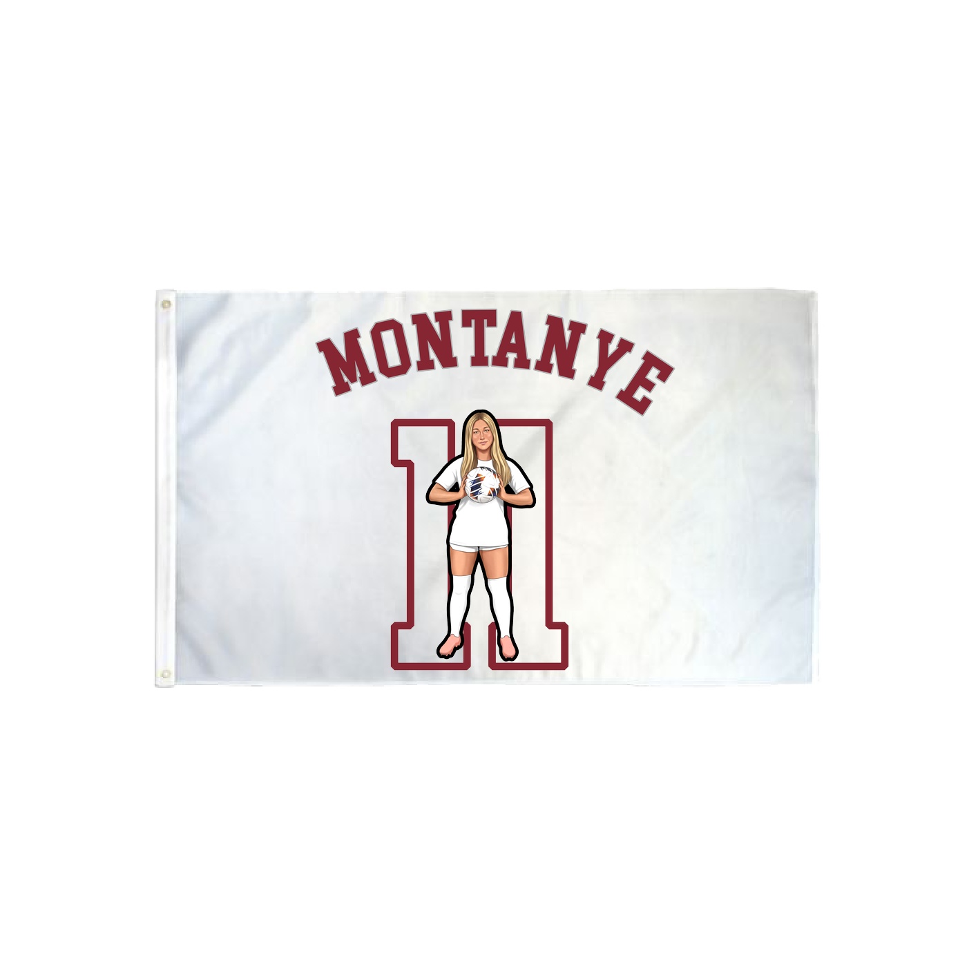 3x5 Flag — Shirsey Arch in Classic