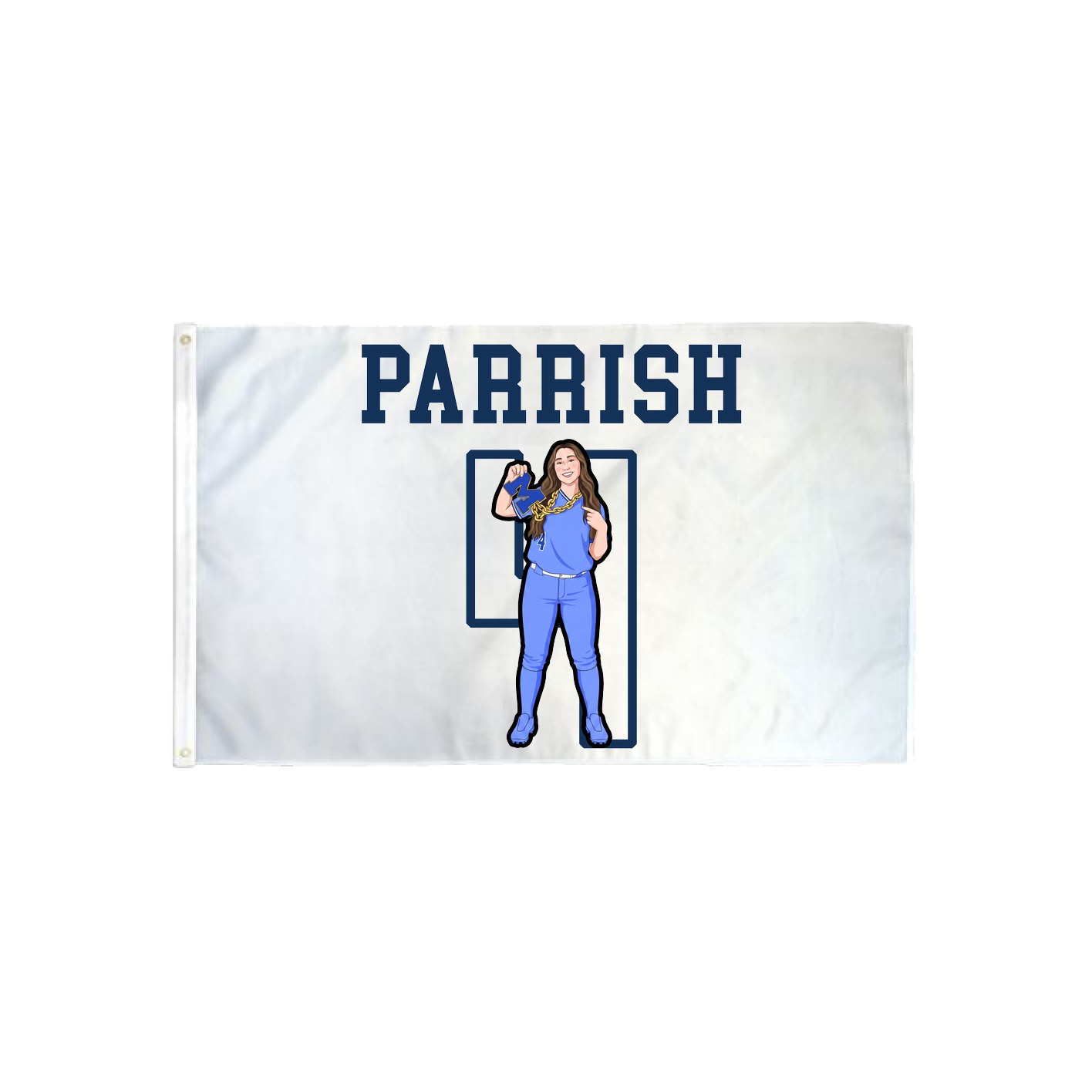 3x5 Flag — Shirsey in Classic