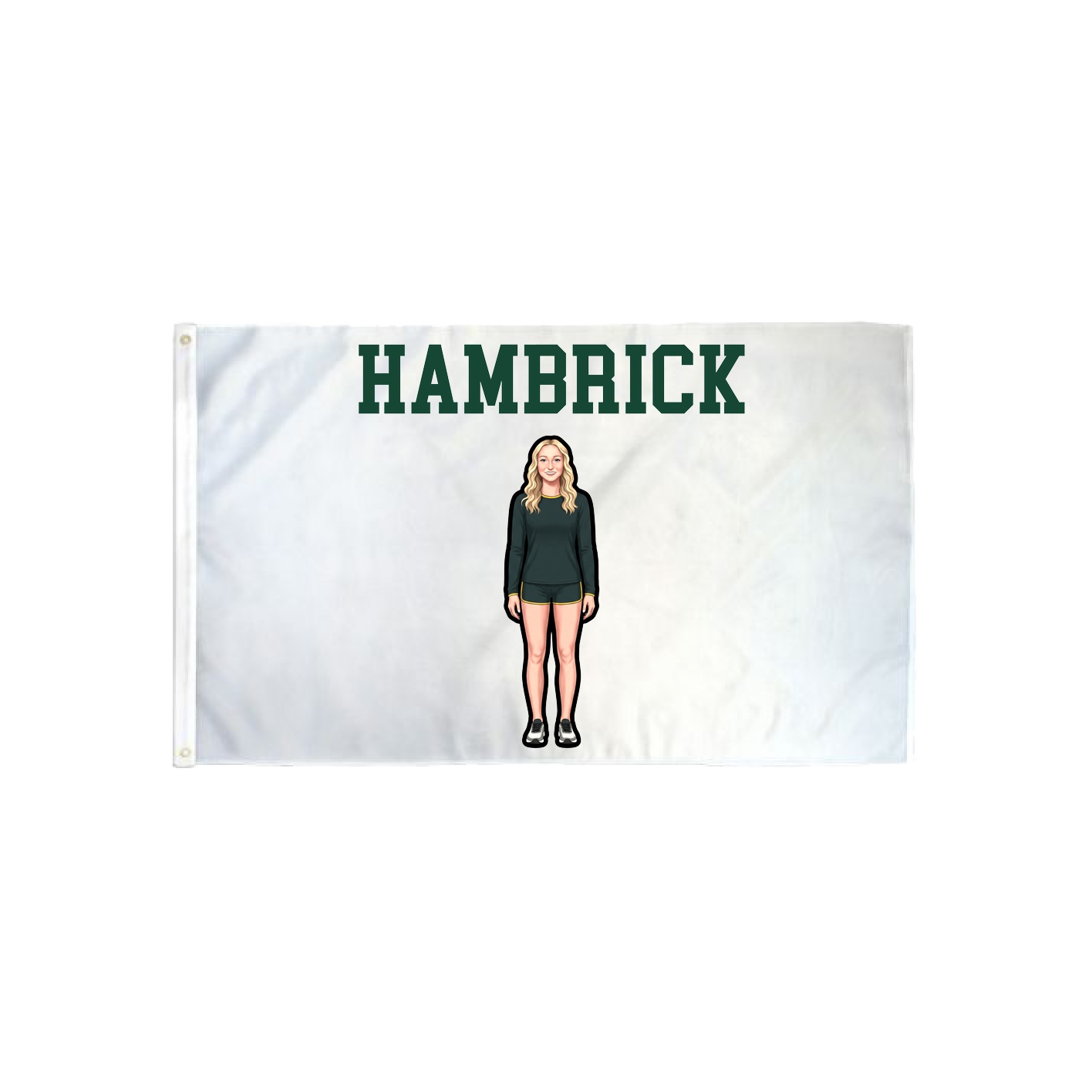 3x5 Flag — Shirsey in Classic
