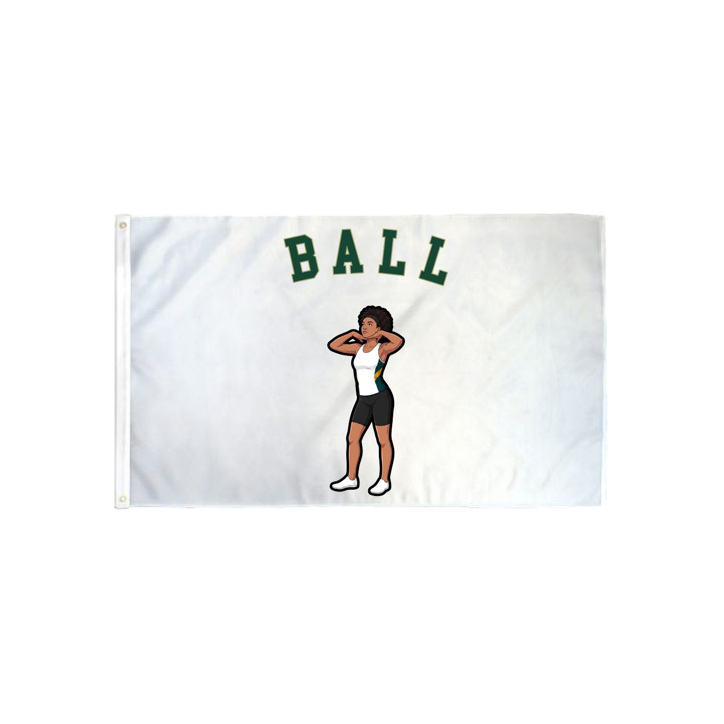 3x5 Flag — Shirsey Arch in Classic