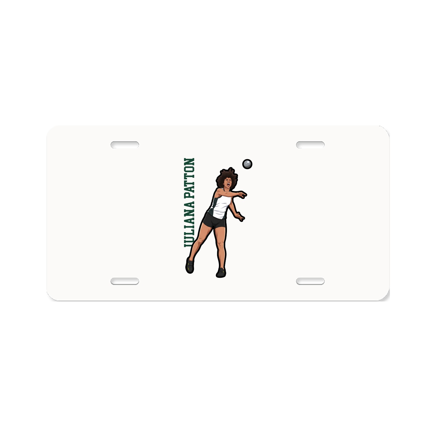 License Plate