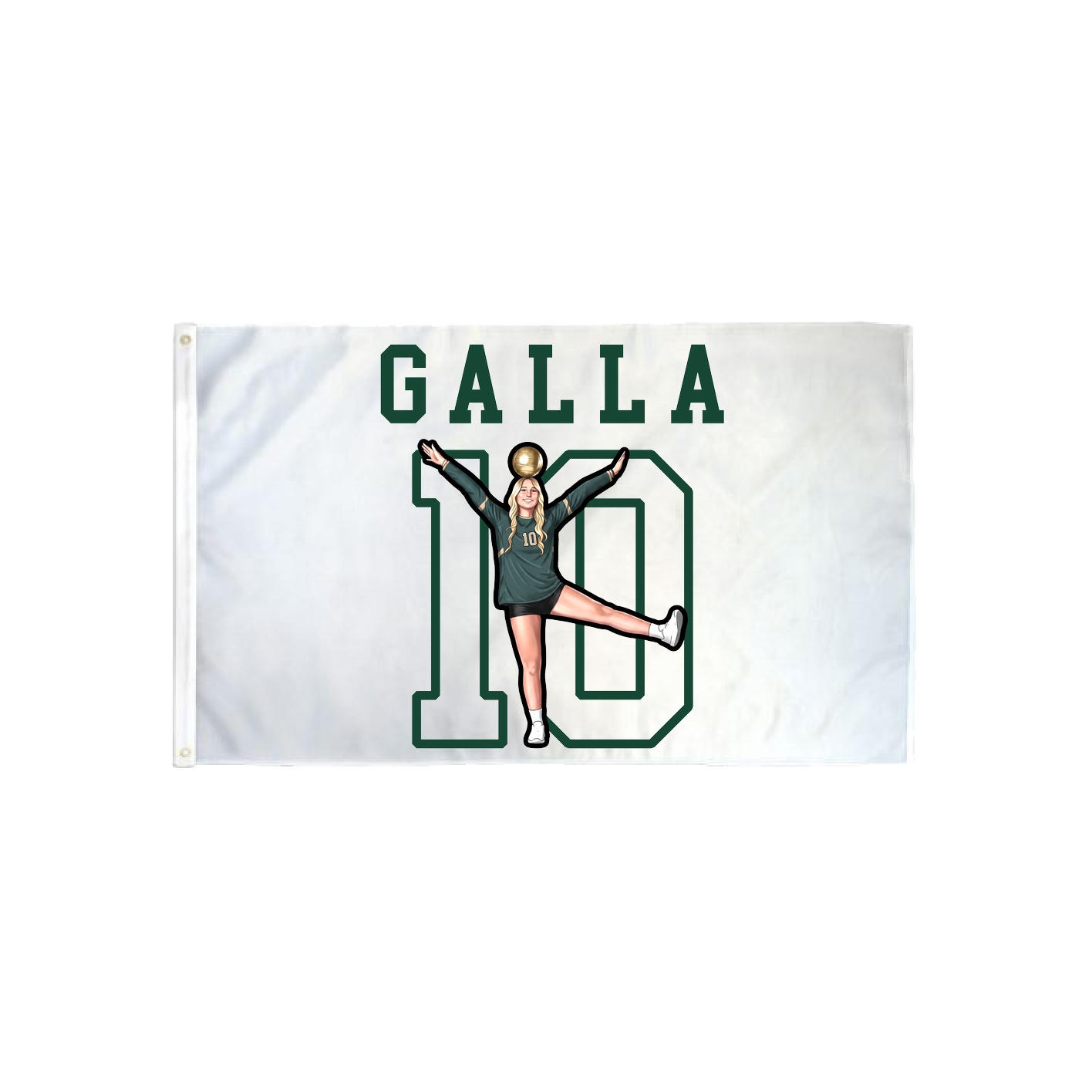 3x5 Flag — Shirsey in Classic