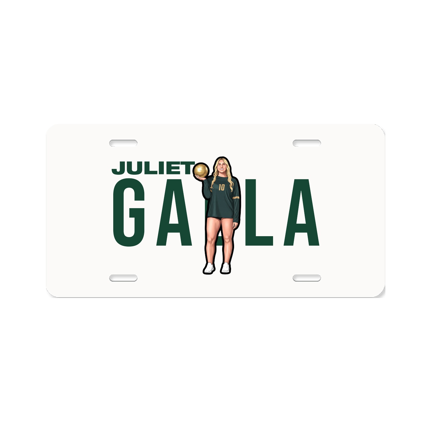 License Plate