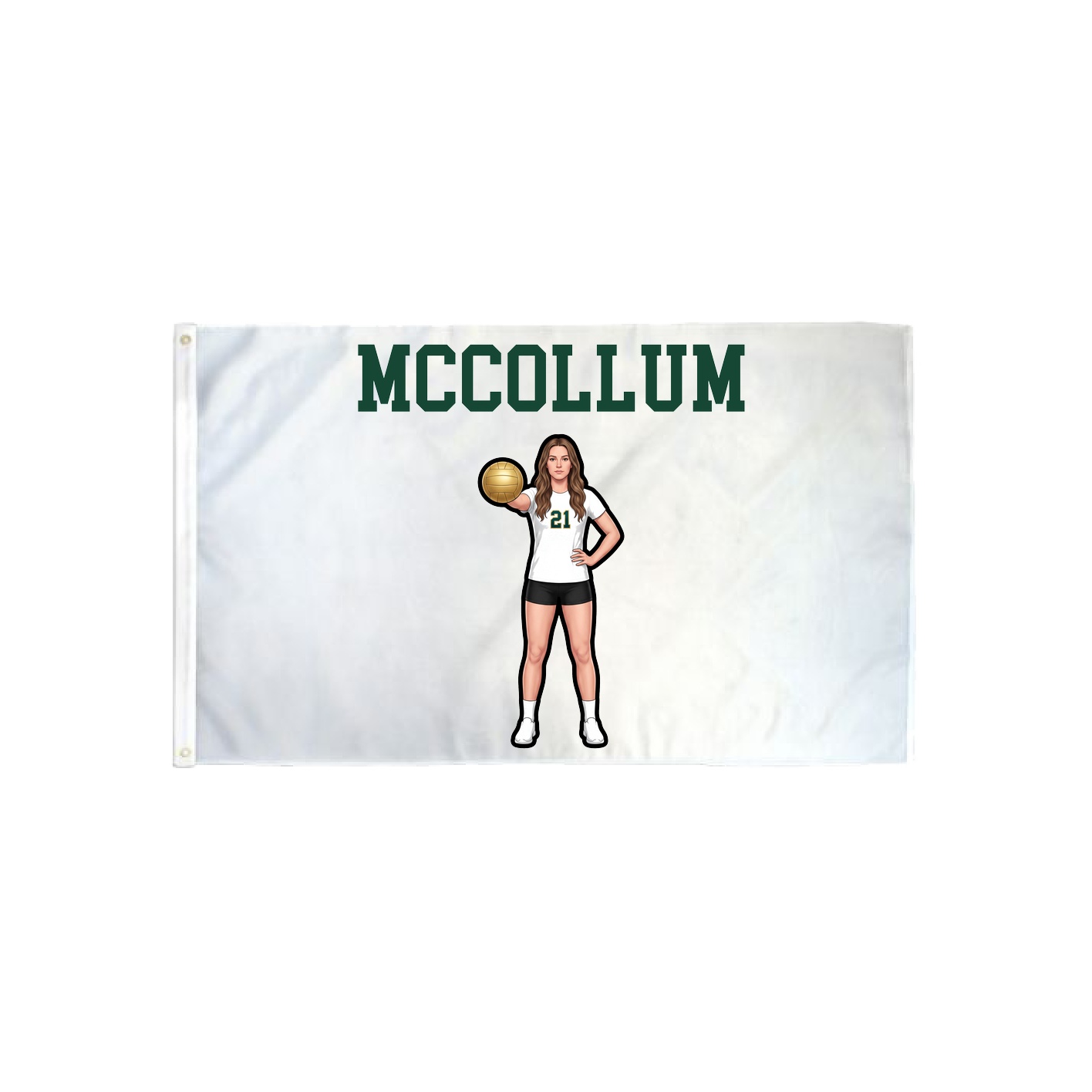 3x5 Flag — Shirsey in Classic