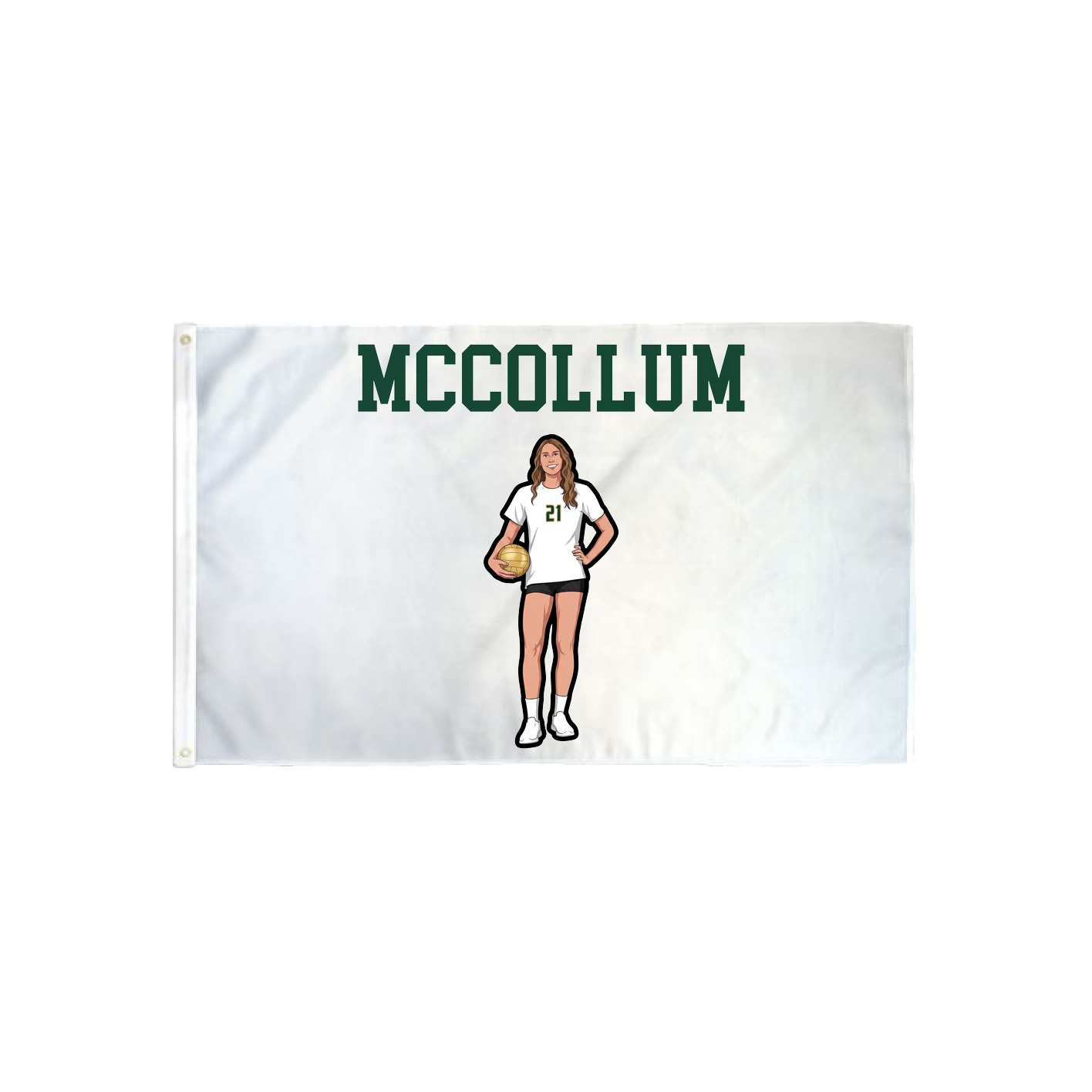 3x5 Flag — Shirsey in Classic