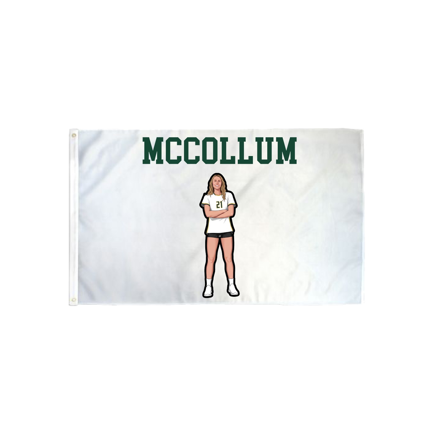3x5 Flag — Shirsey in Classic
