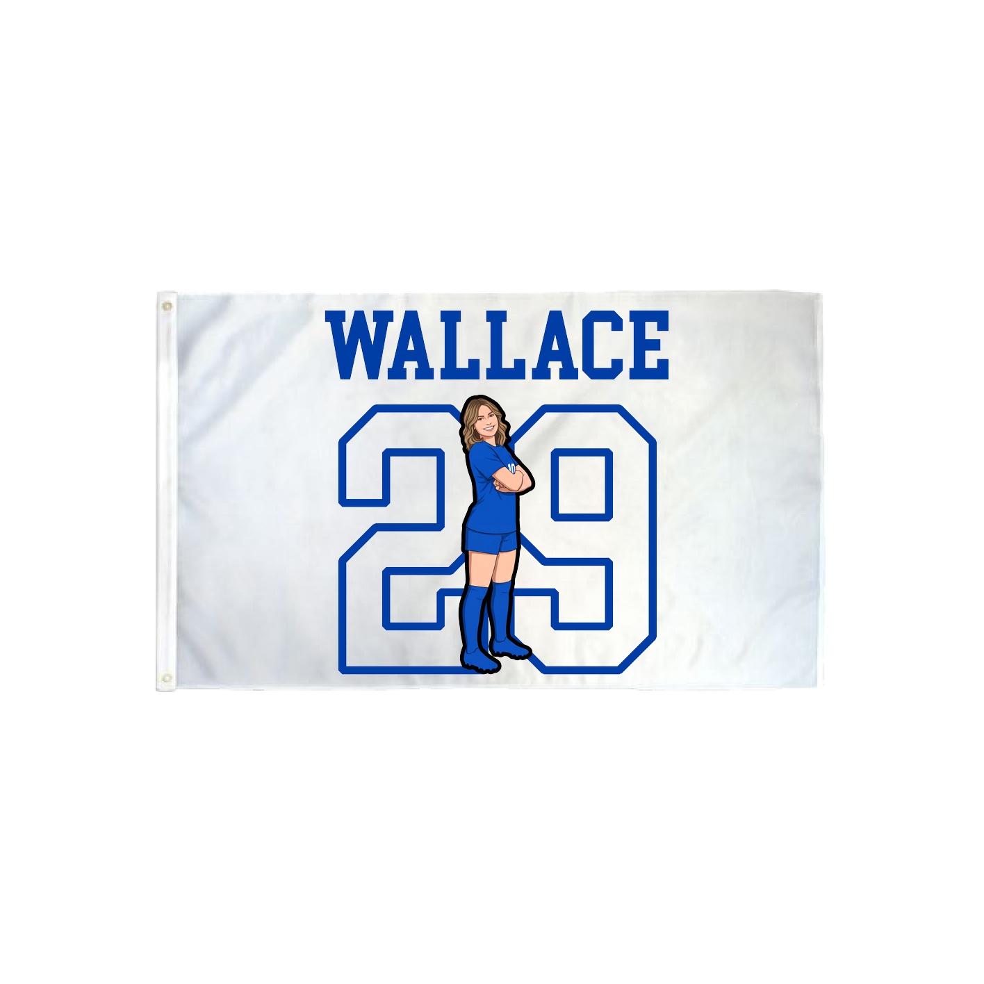 3x5 Flag — Shirsey in Classic