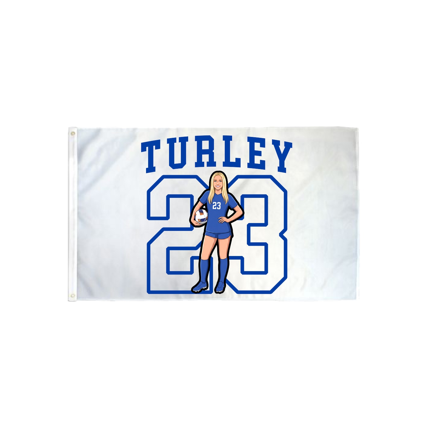 3x5 Flag — Shirsey in Classic