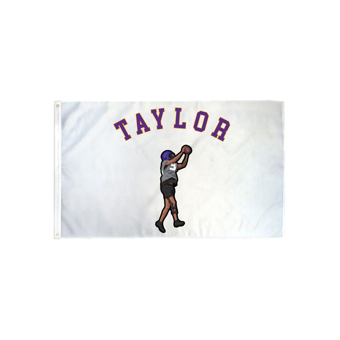 3x5 Flag — Shirsey Arch in Classic