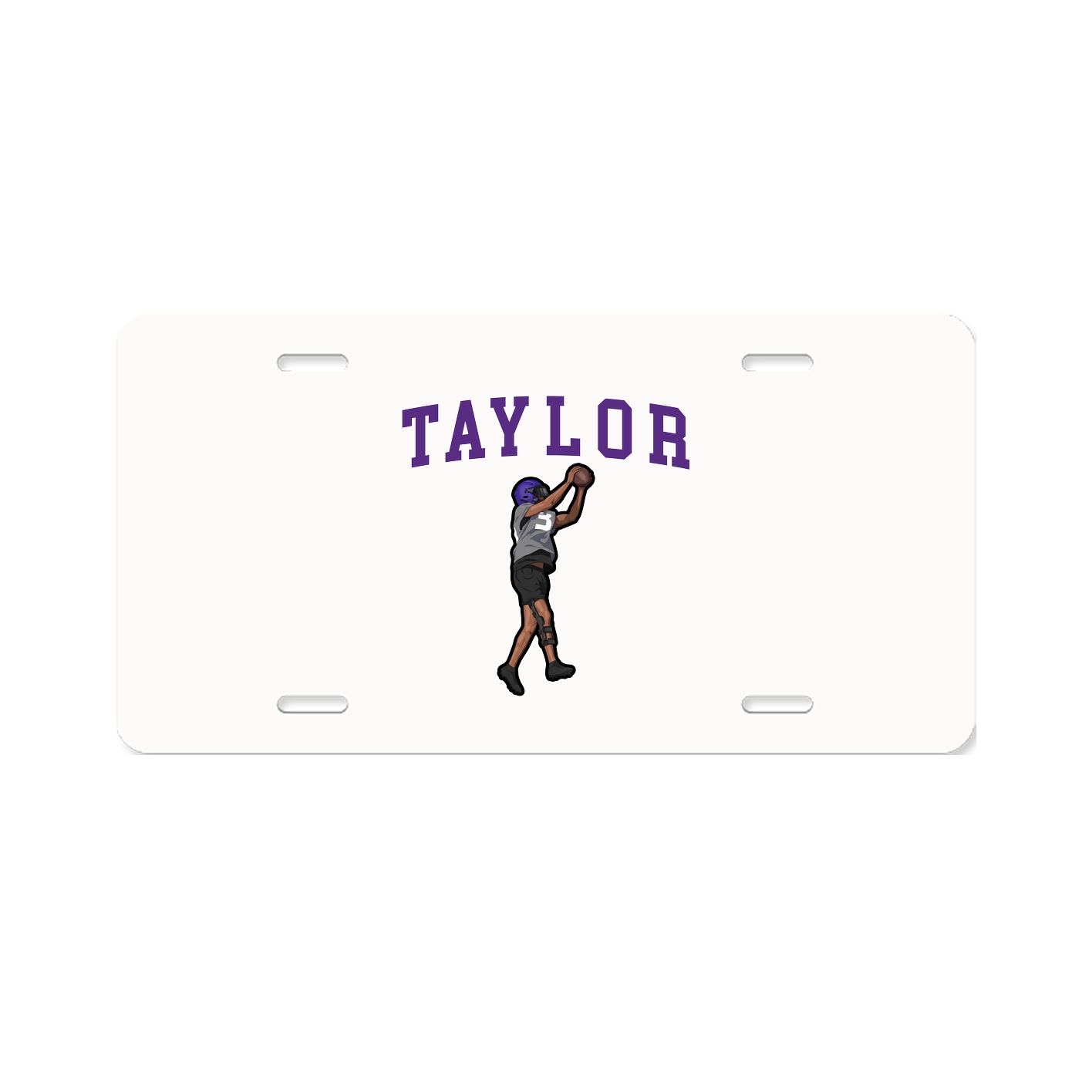 License Plate