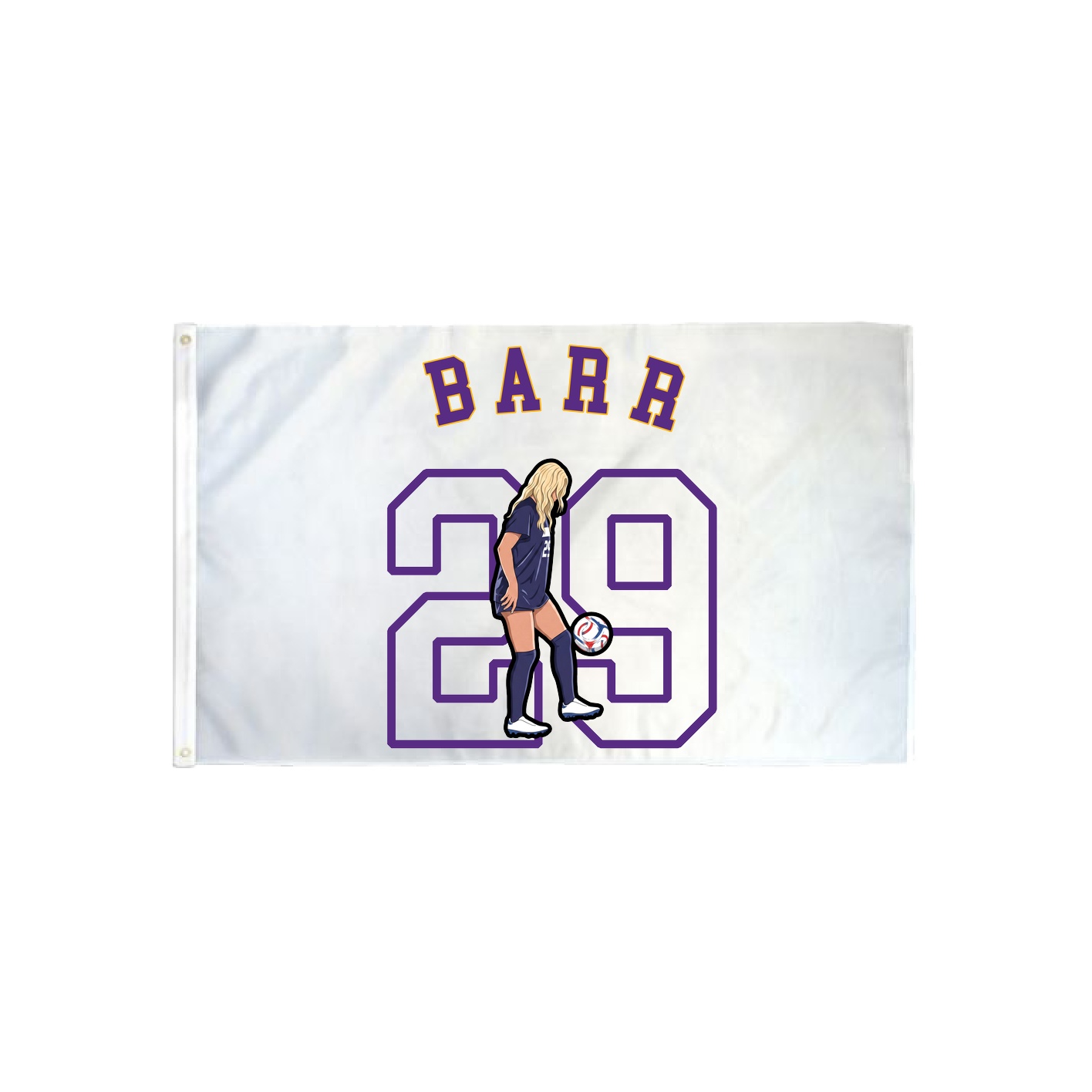 3x5 Flag — Shirsey Arch in Classic