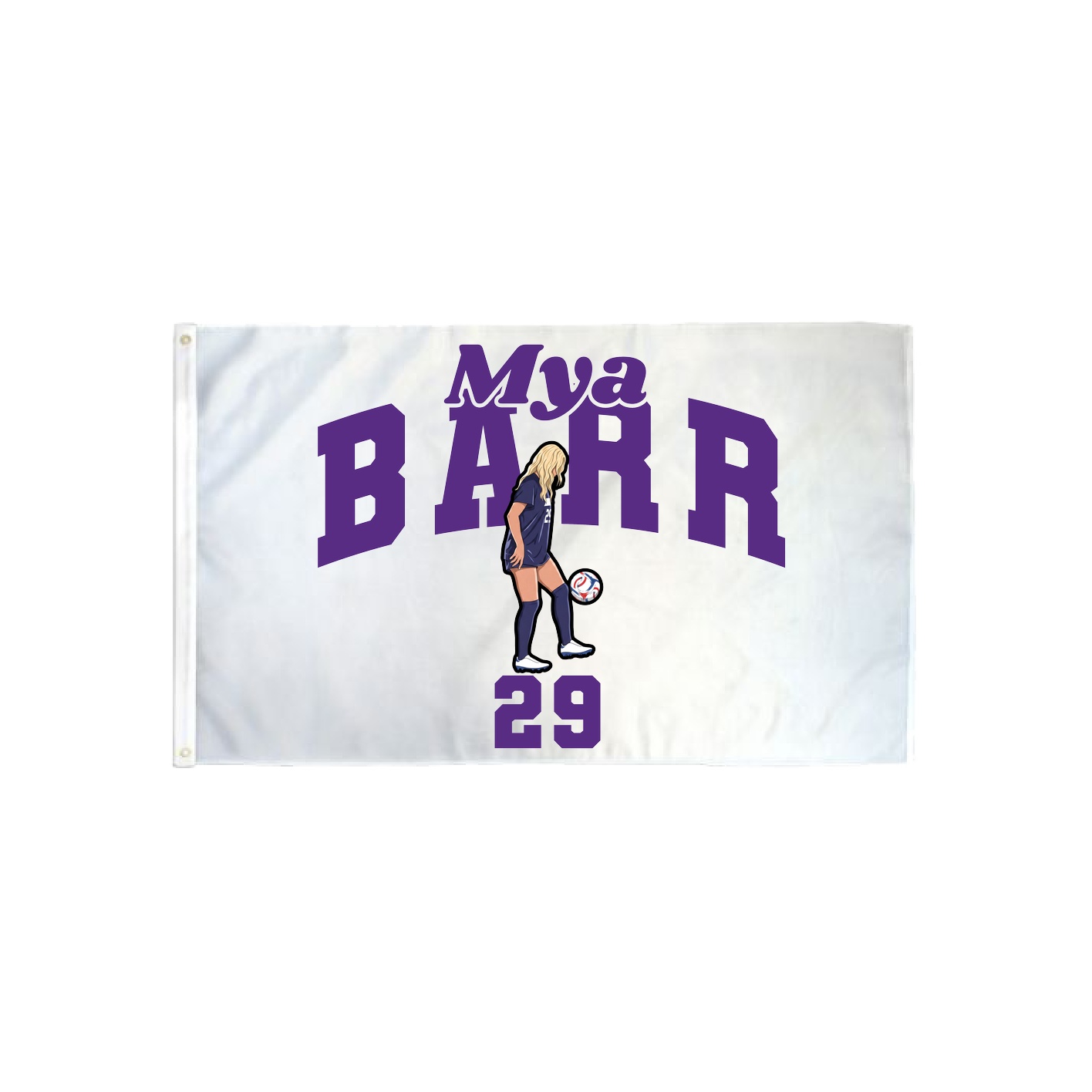 3x5 Flag — Signature Arch in Classic