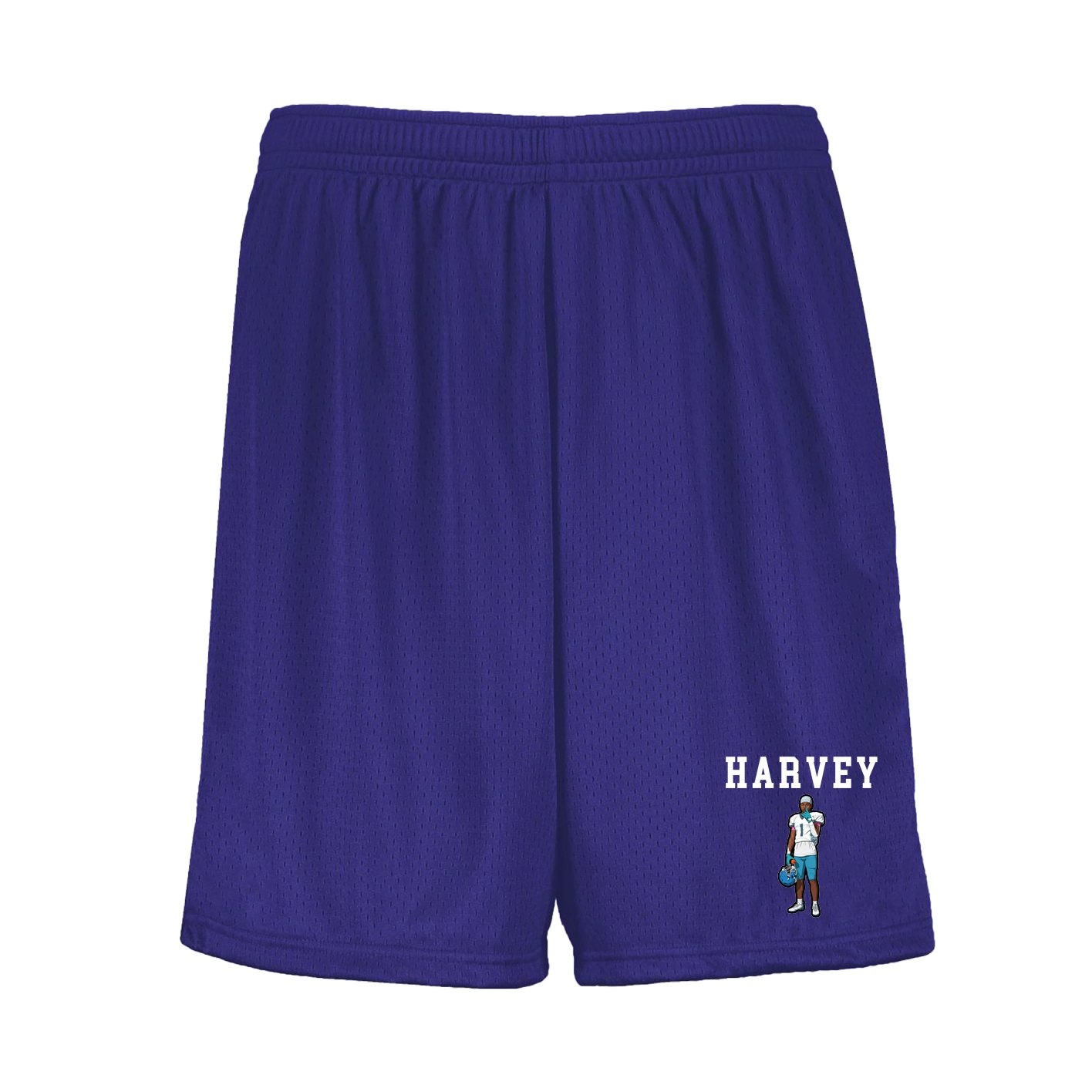 Shorts — Shirsey in Purple
