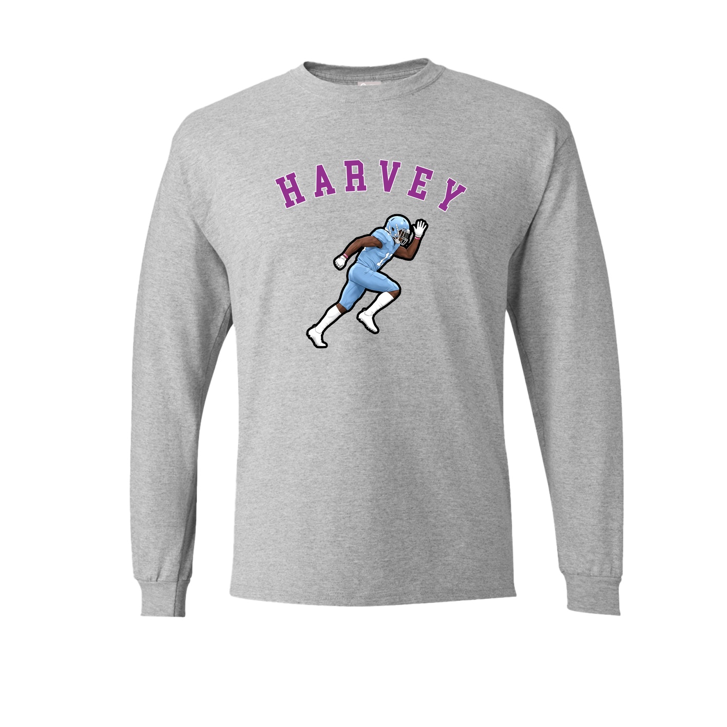 Long Sleeve Tee — Shirsey Arch in Grey