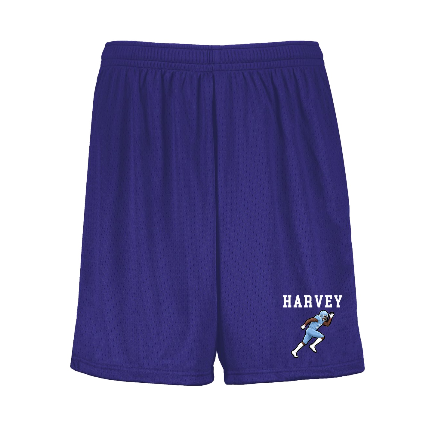 Shorts — Shirsey in Purple