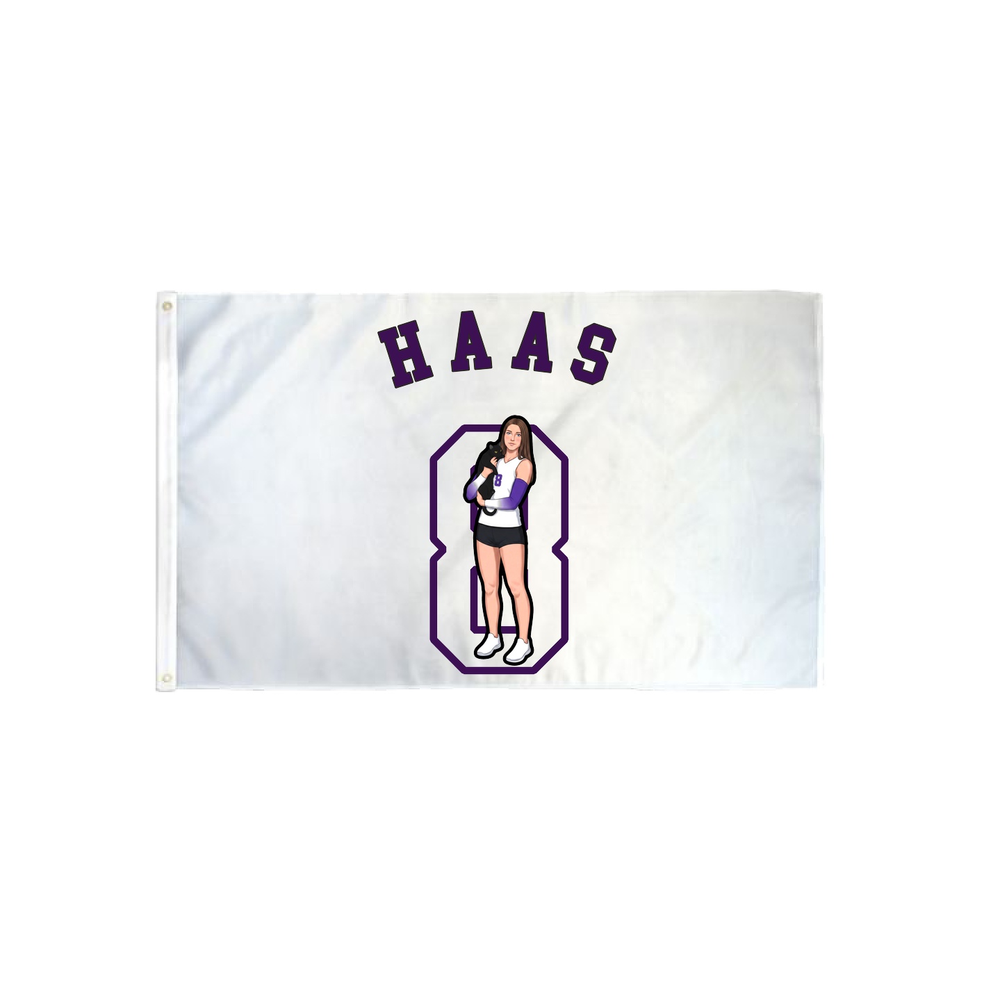 3x5 Flag — Shirsey Arch in Classic