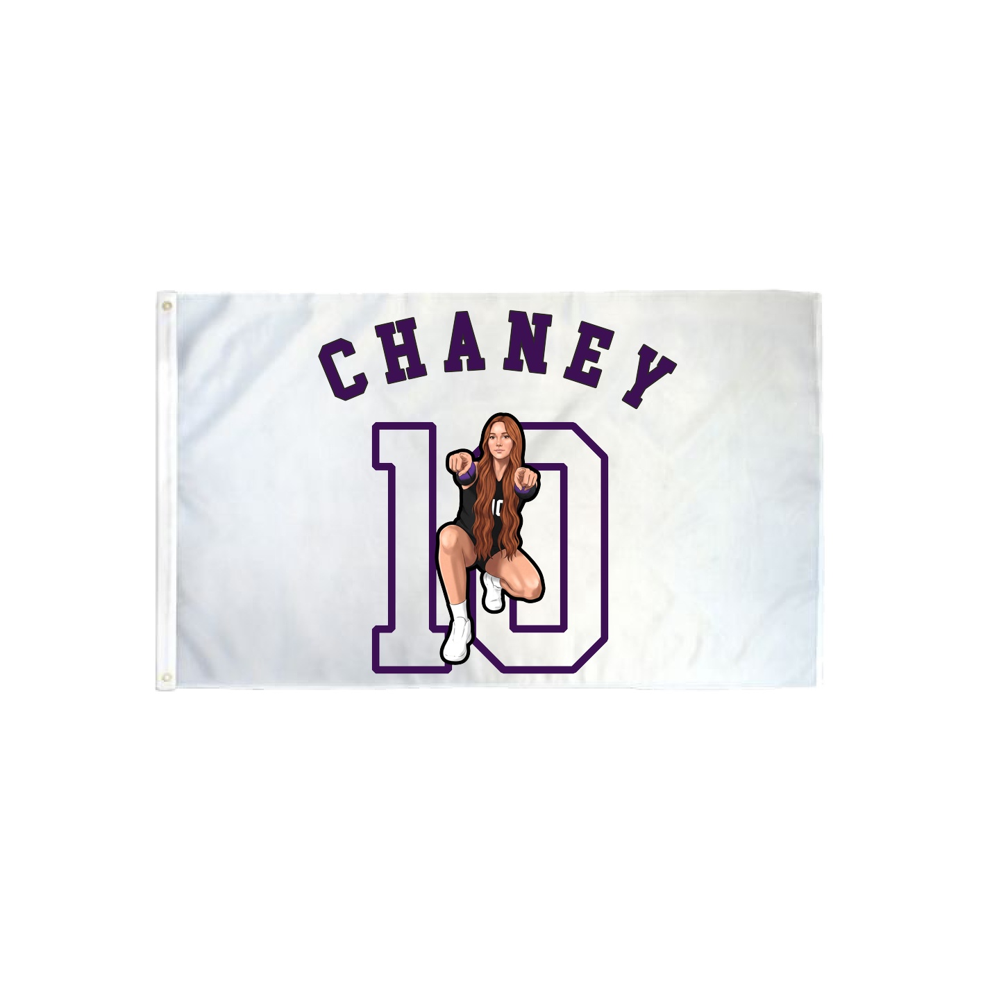 3x5 Flag — Shirsey Arch in Classic