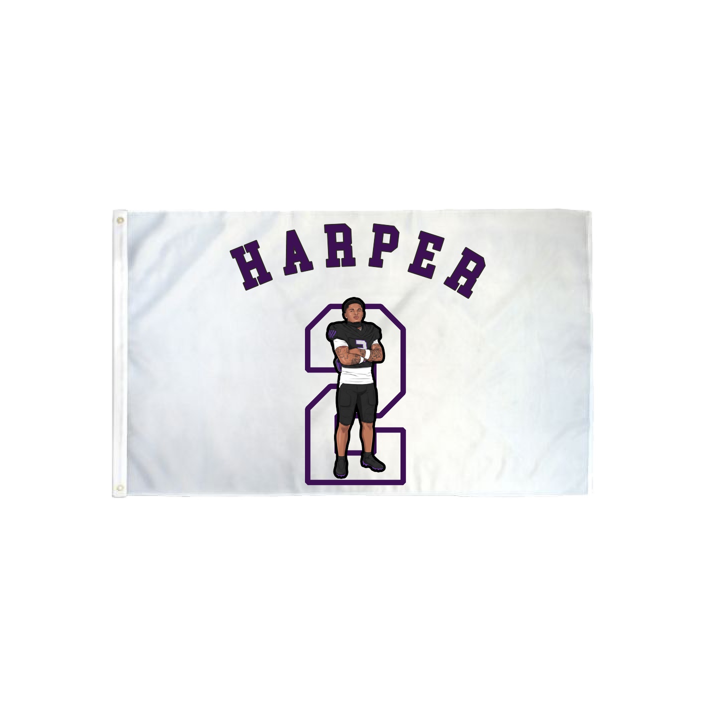 3x5 Flag — Shirsey Arch in Classic