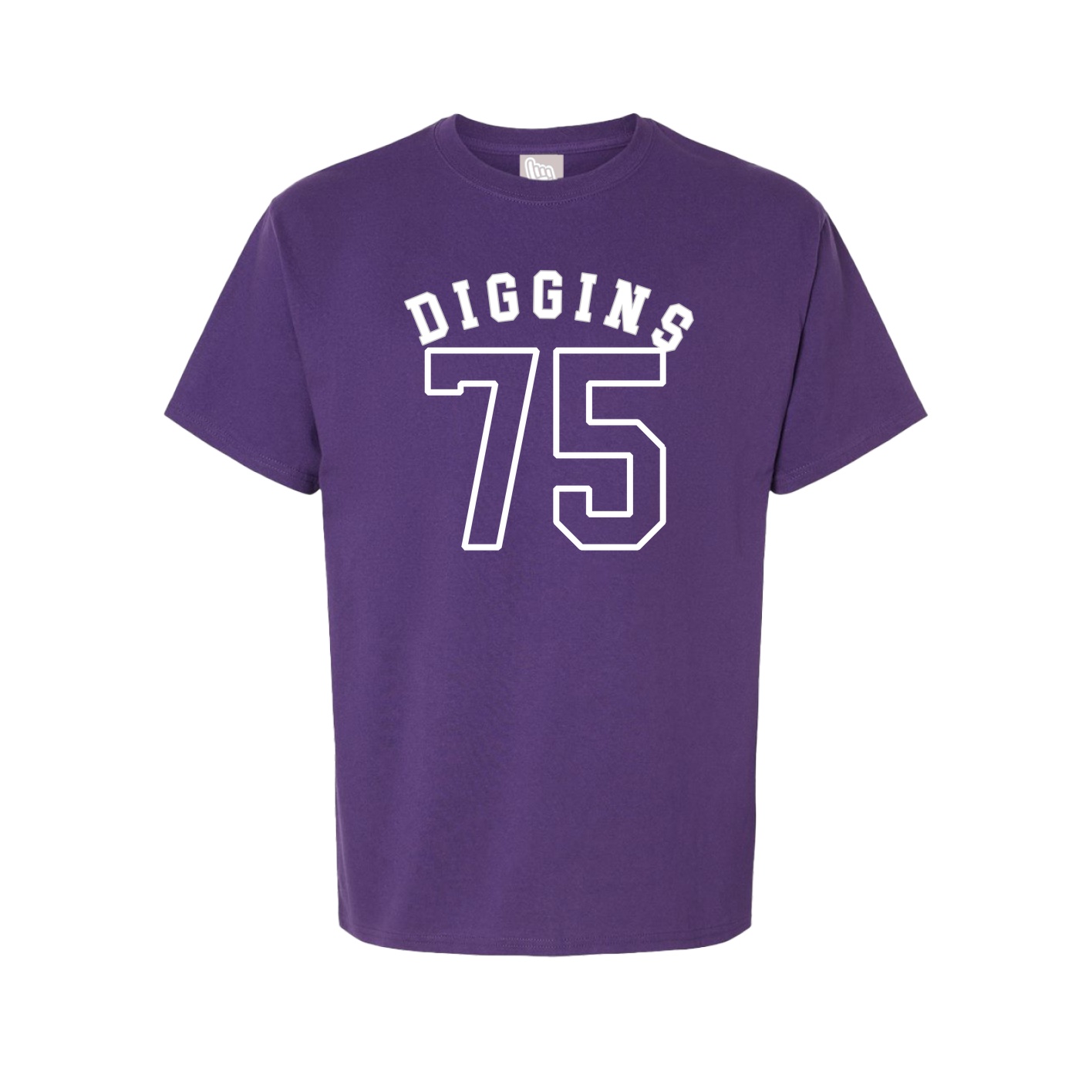 Youth Tee — Shirsey Arch in Purple