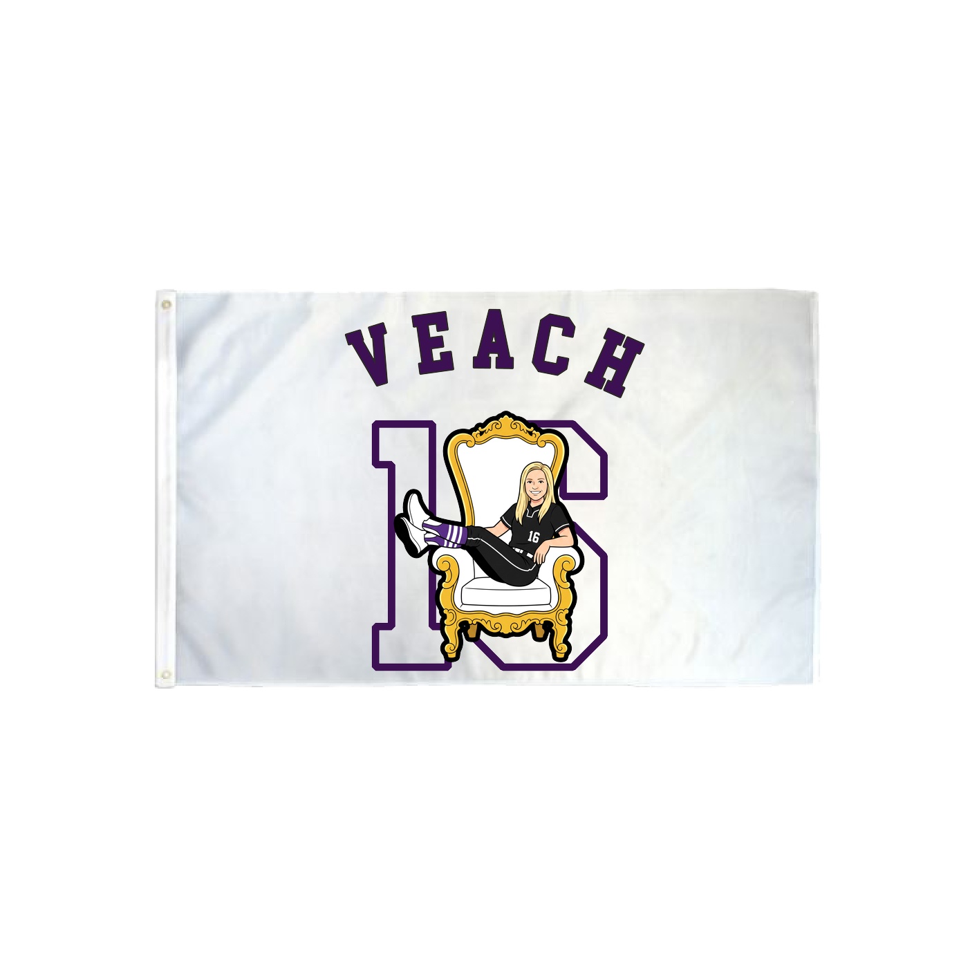 3x5 Flag — Shirsey Arch in Classic