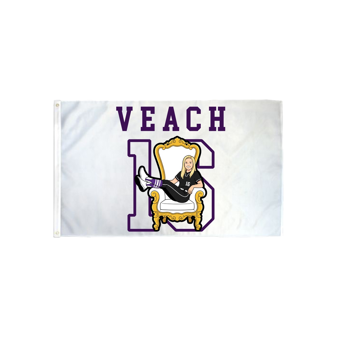 3x5 Flag — Shirsey in Classic