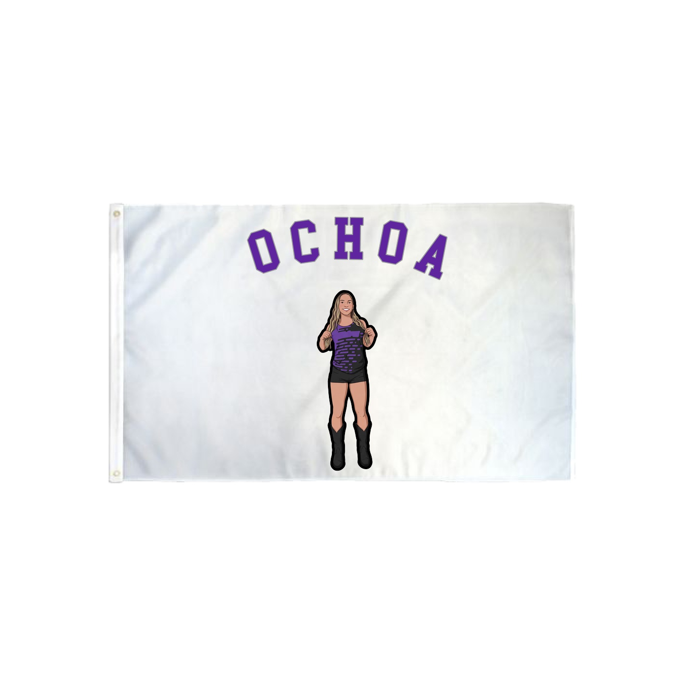 3x5 Flag — Shirsey Arch in Classic
