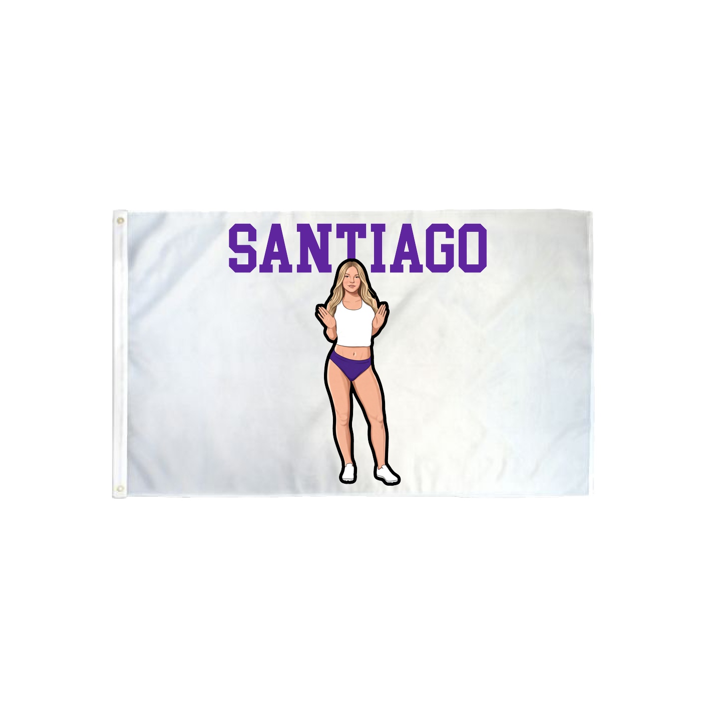 3x5 Flag — Shirsey in Classic