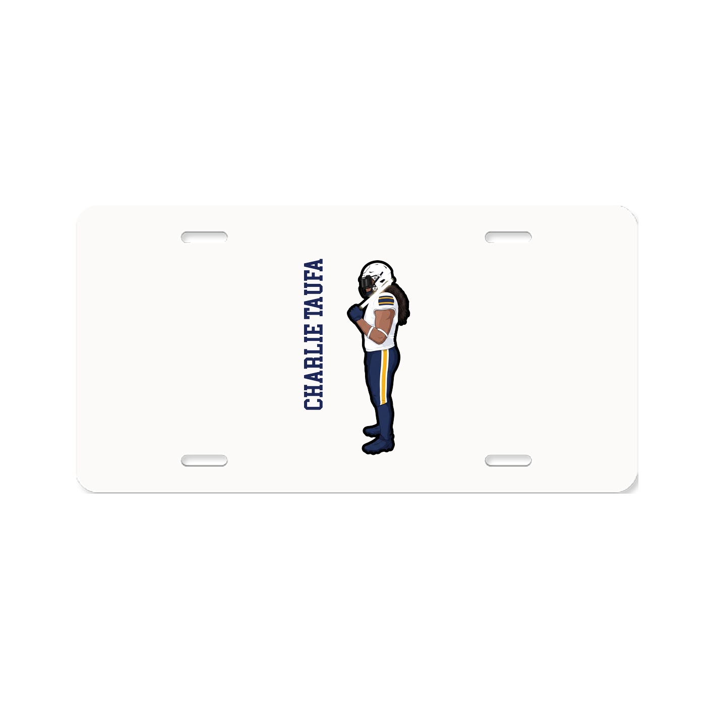 Aluminum License Plate