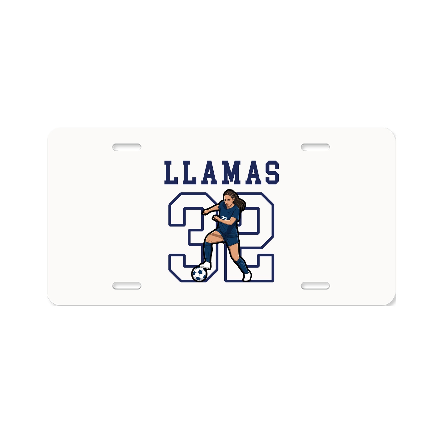 Aluminum License Plate