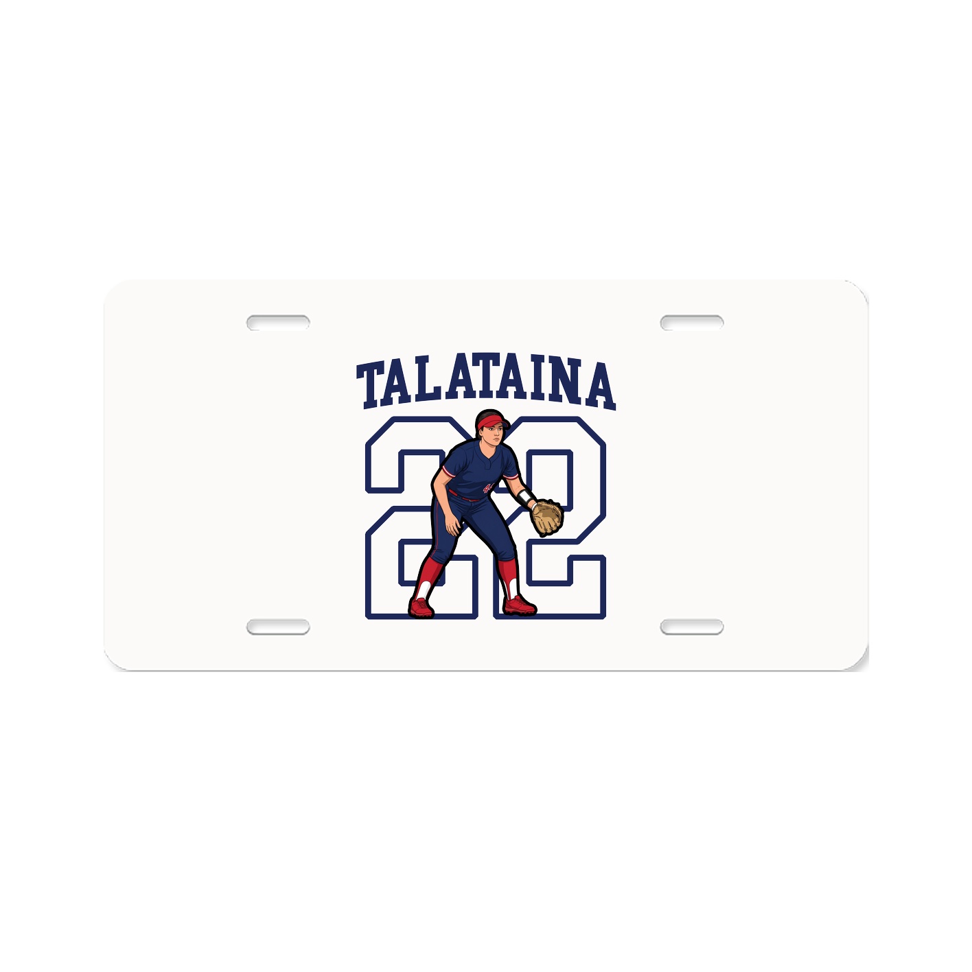 Aluminum License Plate