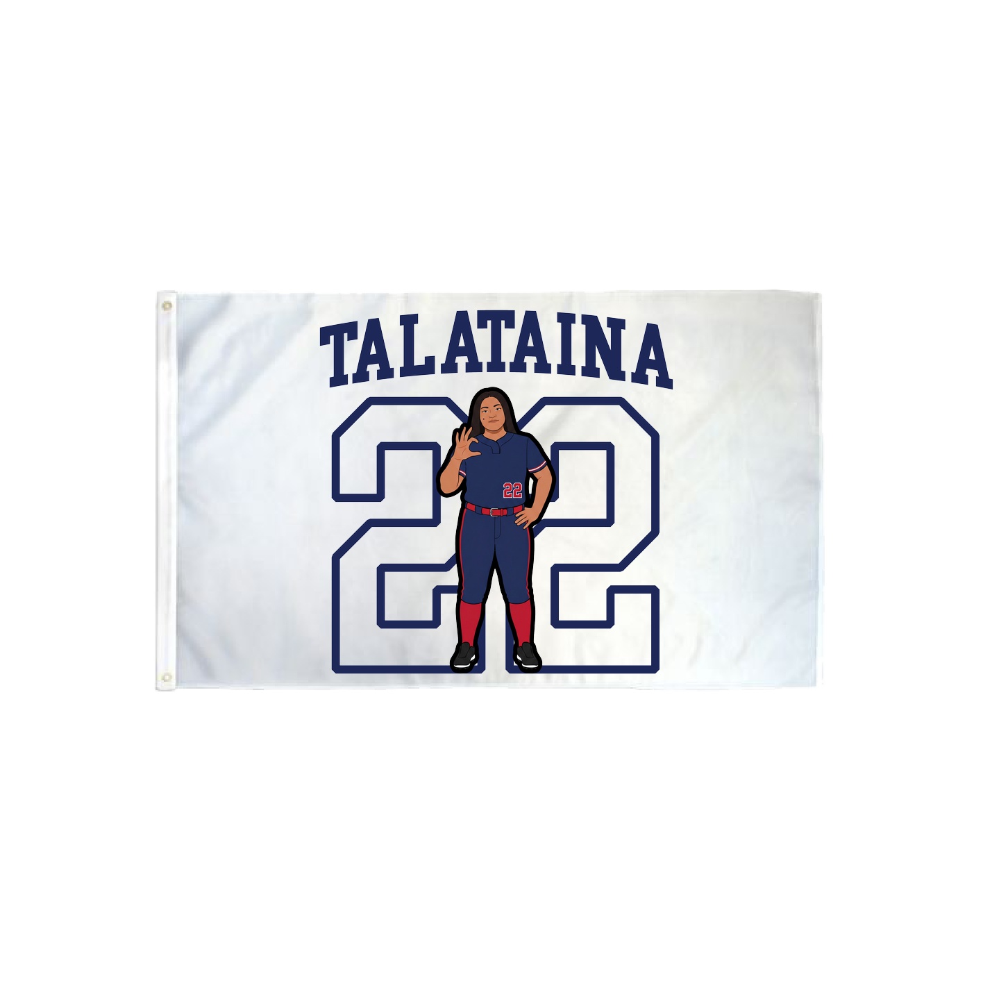 3x5 Flag — Shirsey in Classic