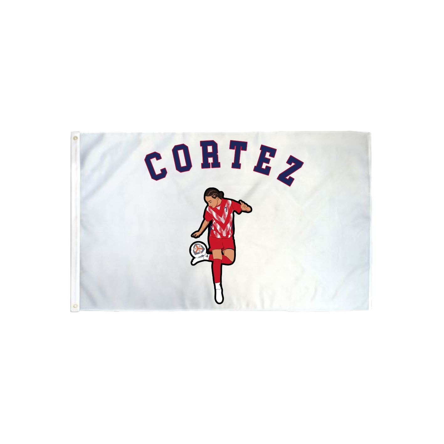 3x5 Flag — Shirsey Arch in Classic
