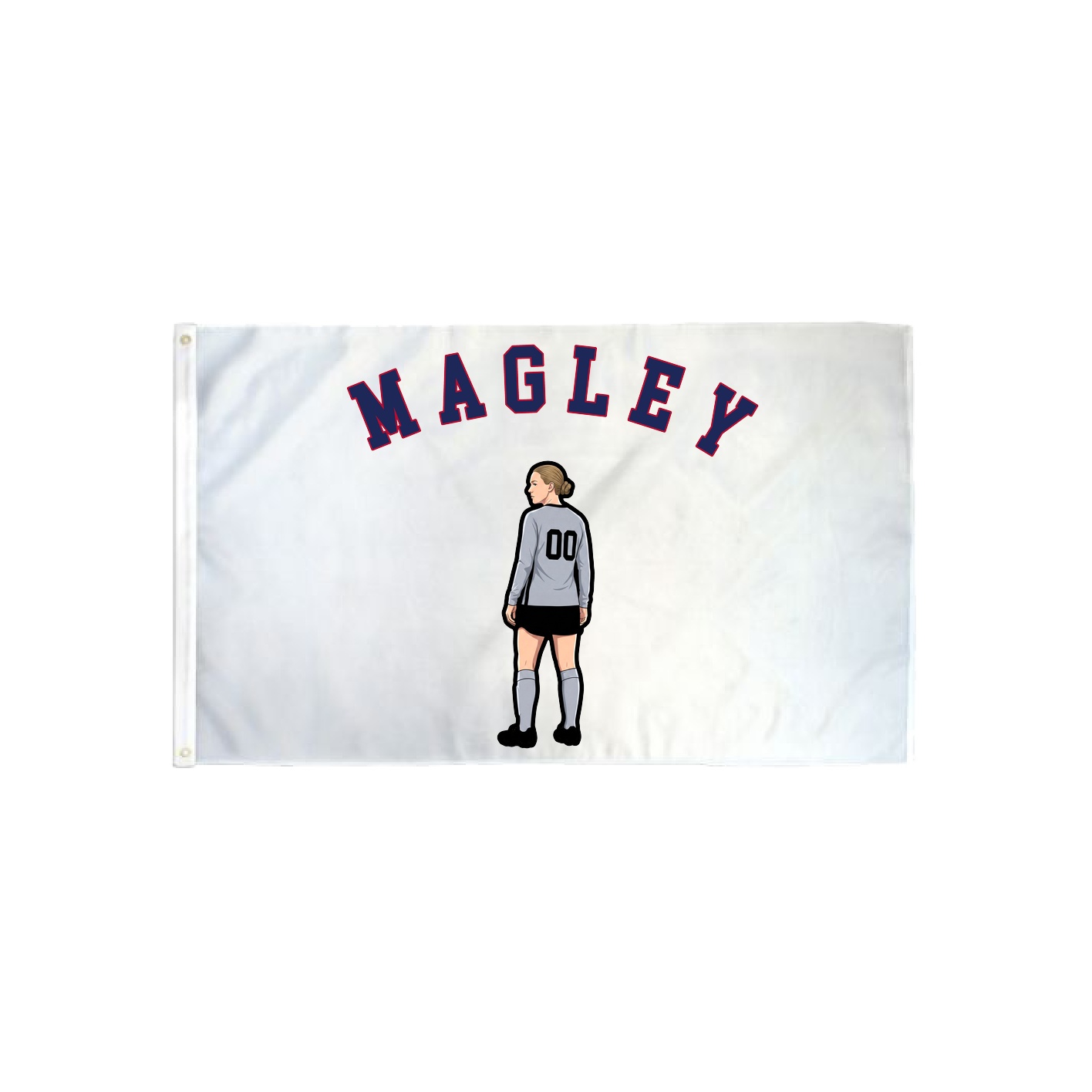 3x5 Flag — Shirsey Arch in Classic