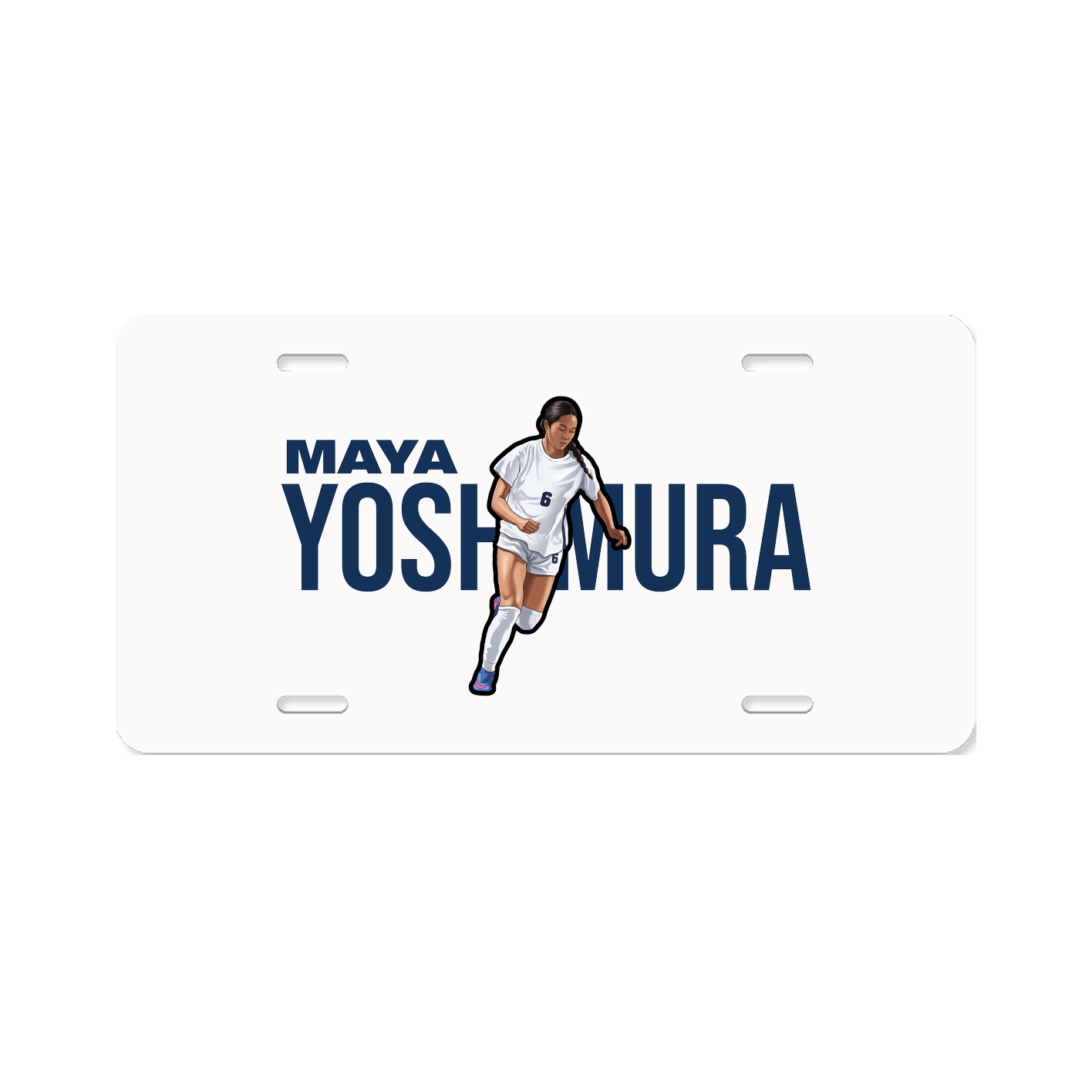 License Plate