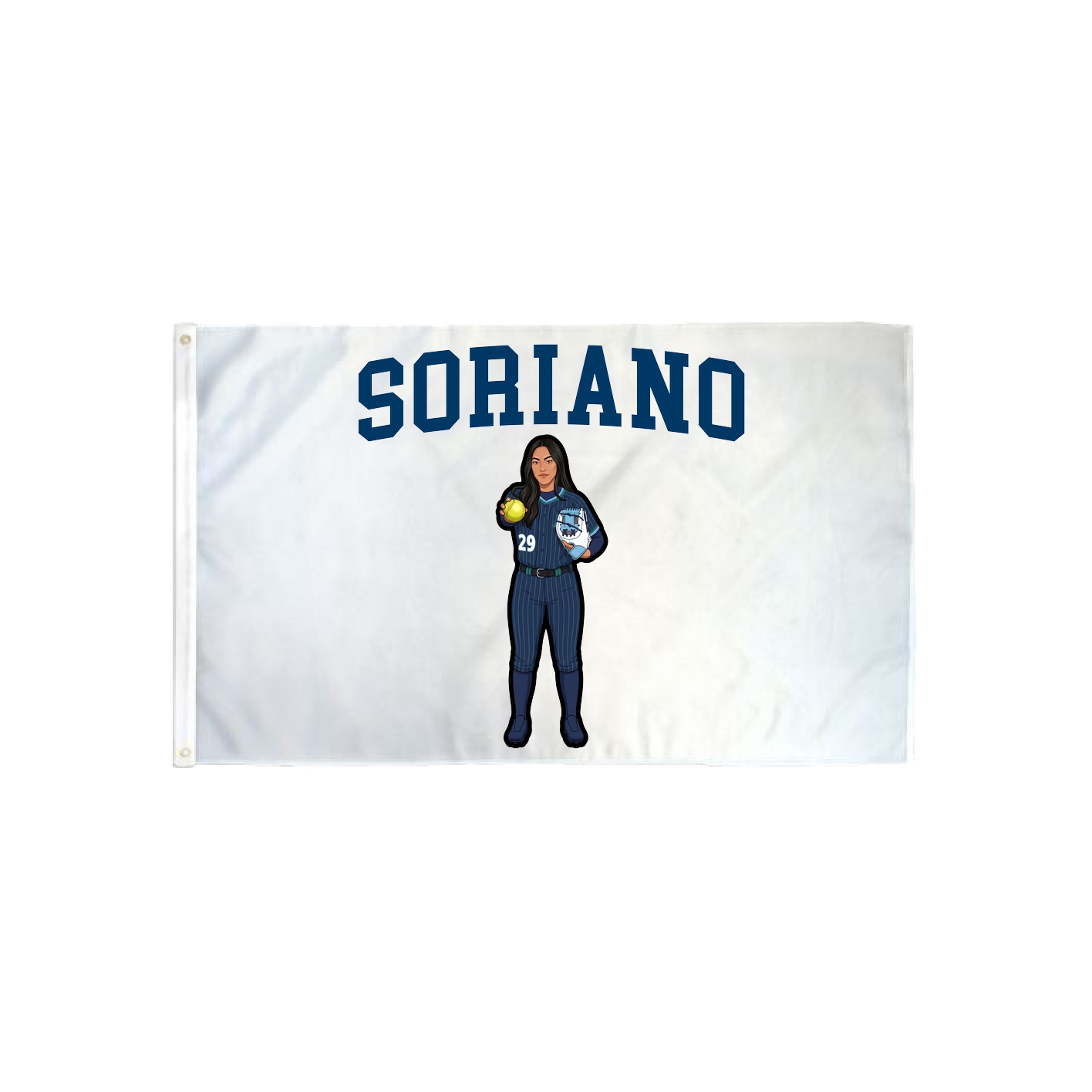 3x5 Flag — Shirsey in Classic