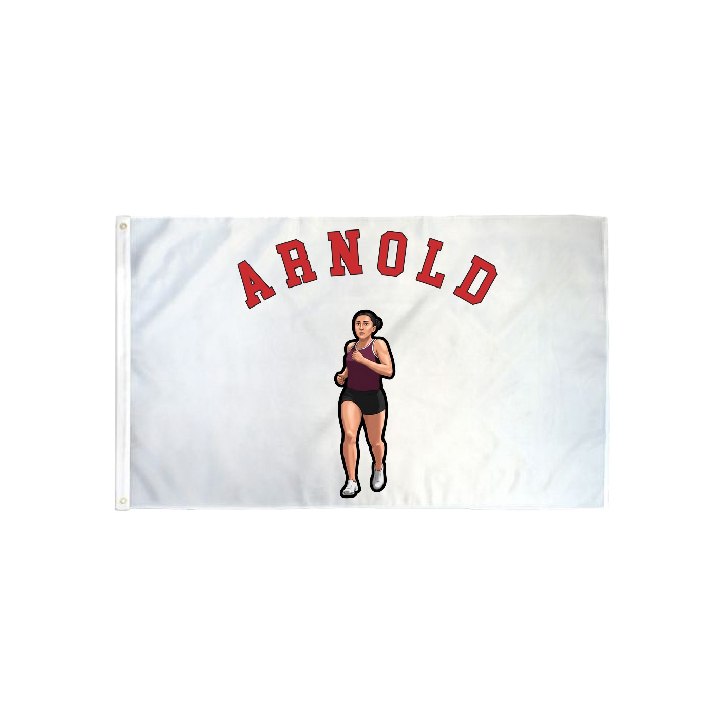 3x5 Flag — Shirsey Arch in Classic