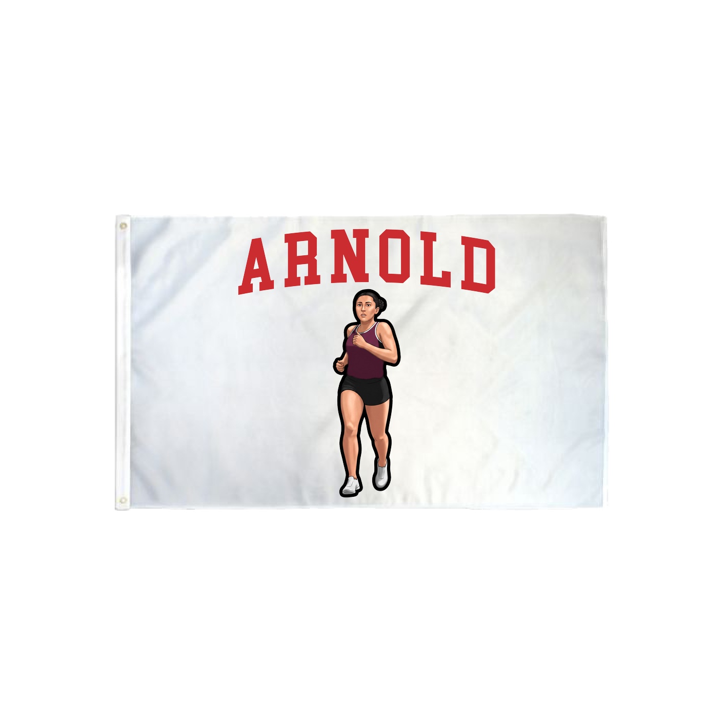 3x5 Flag — Shirsey in Classic