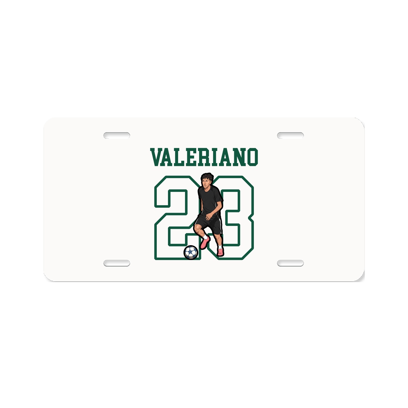 License Plate