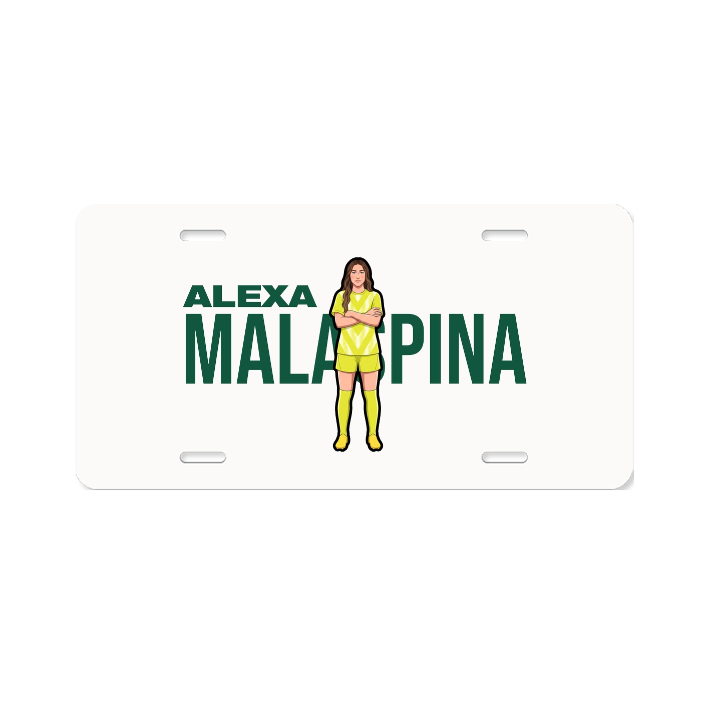 License Plate