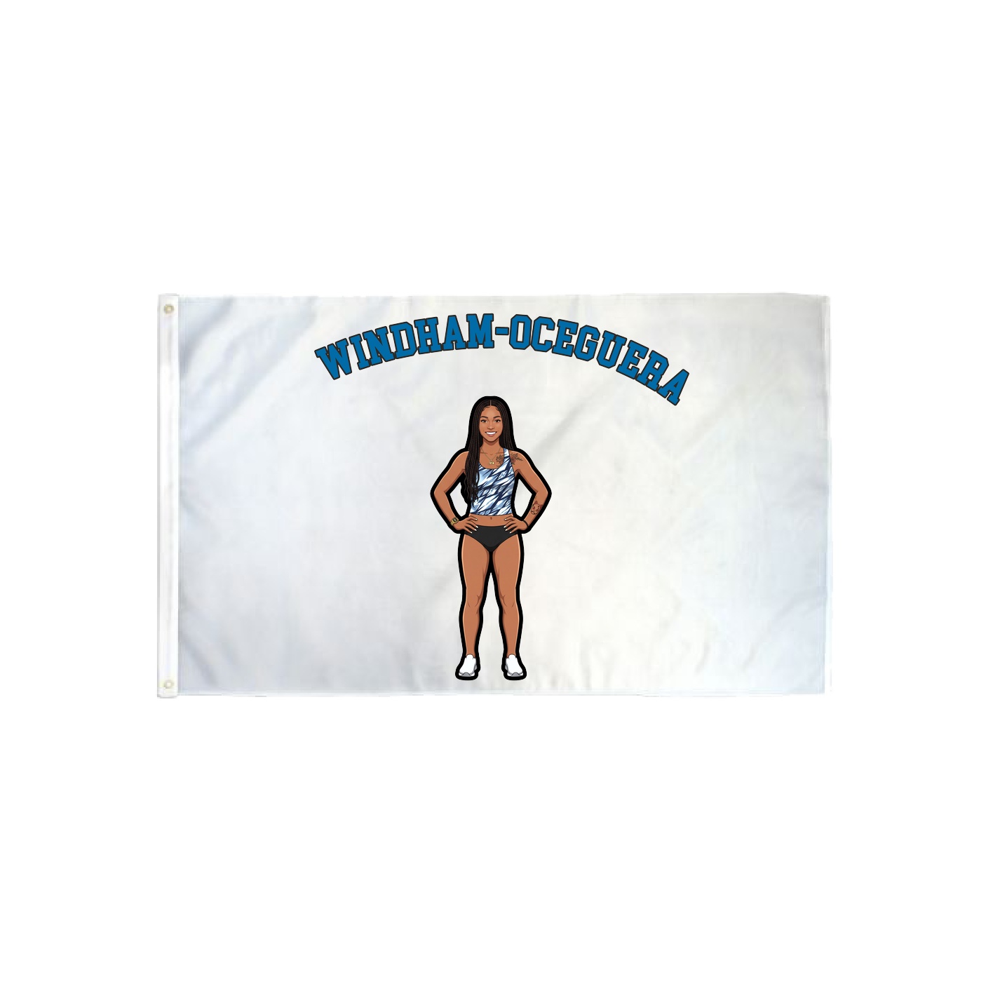 3x5 Flag — Shirsey Arch in Classic
