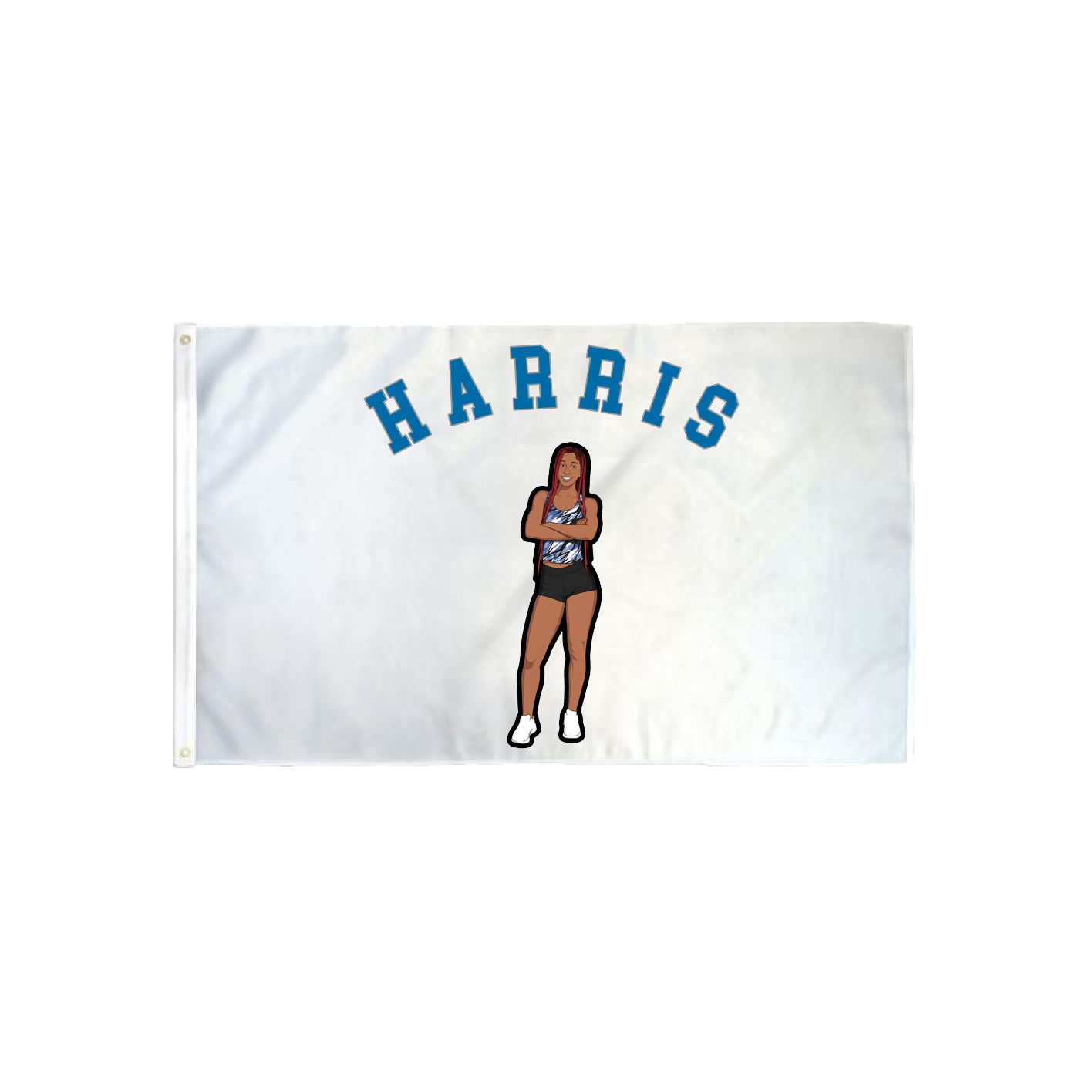 3x5 Flag — Shirsey Arch in Classic